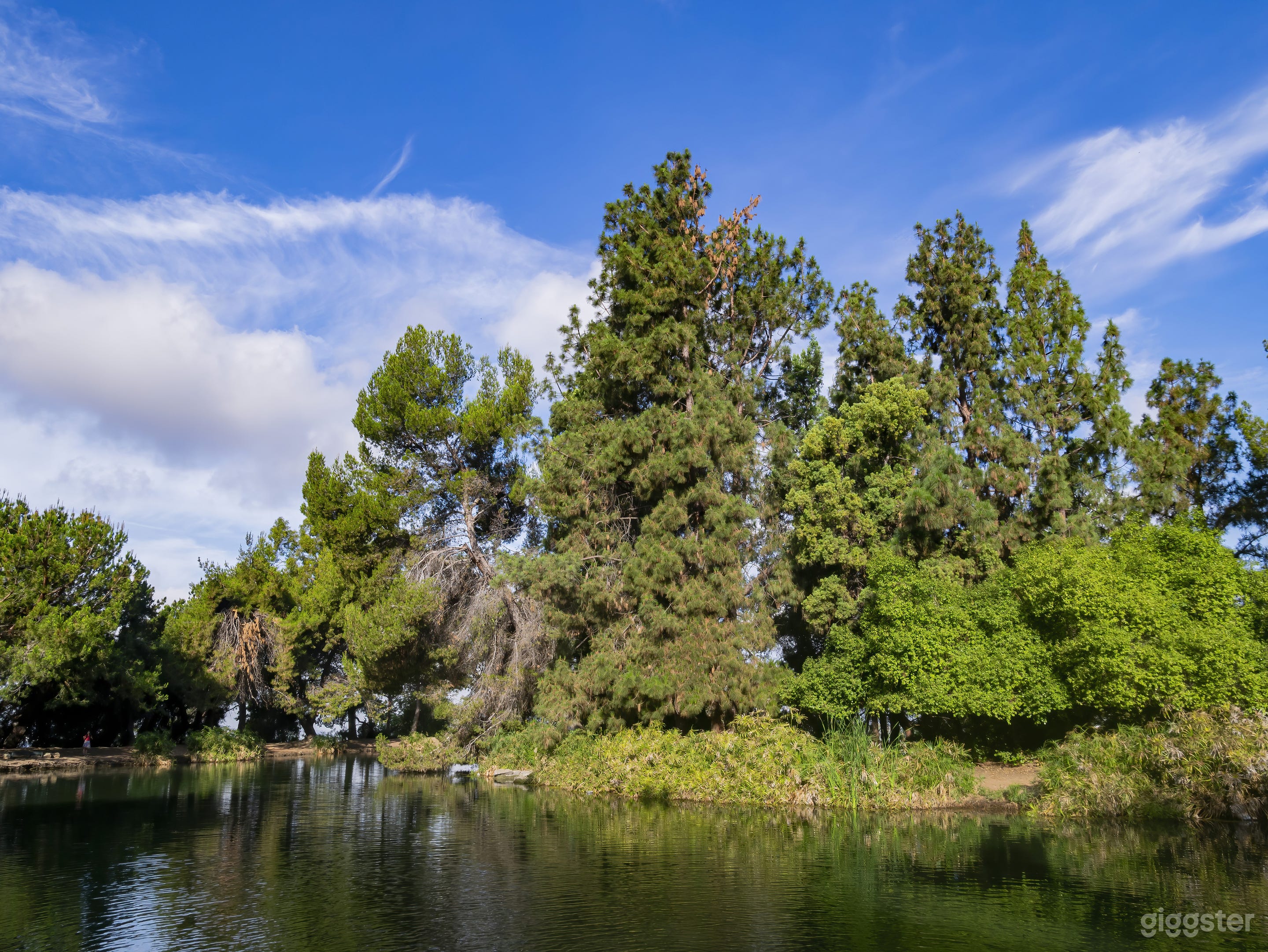 Ernest E. Debs Regional Park Photo 2