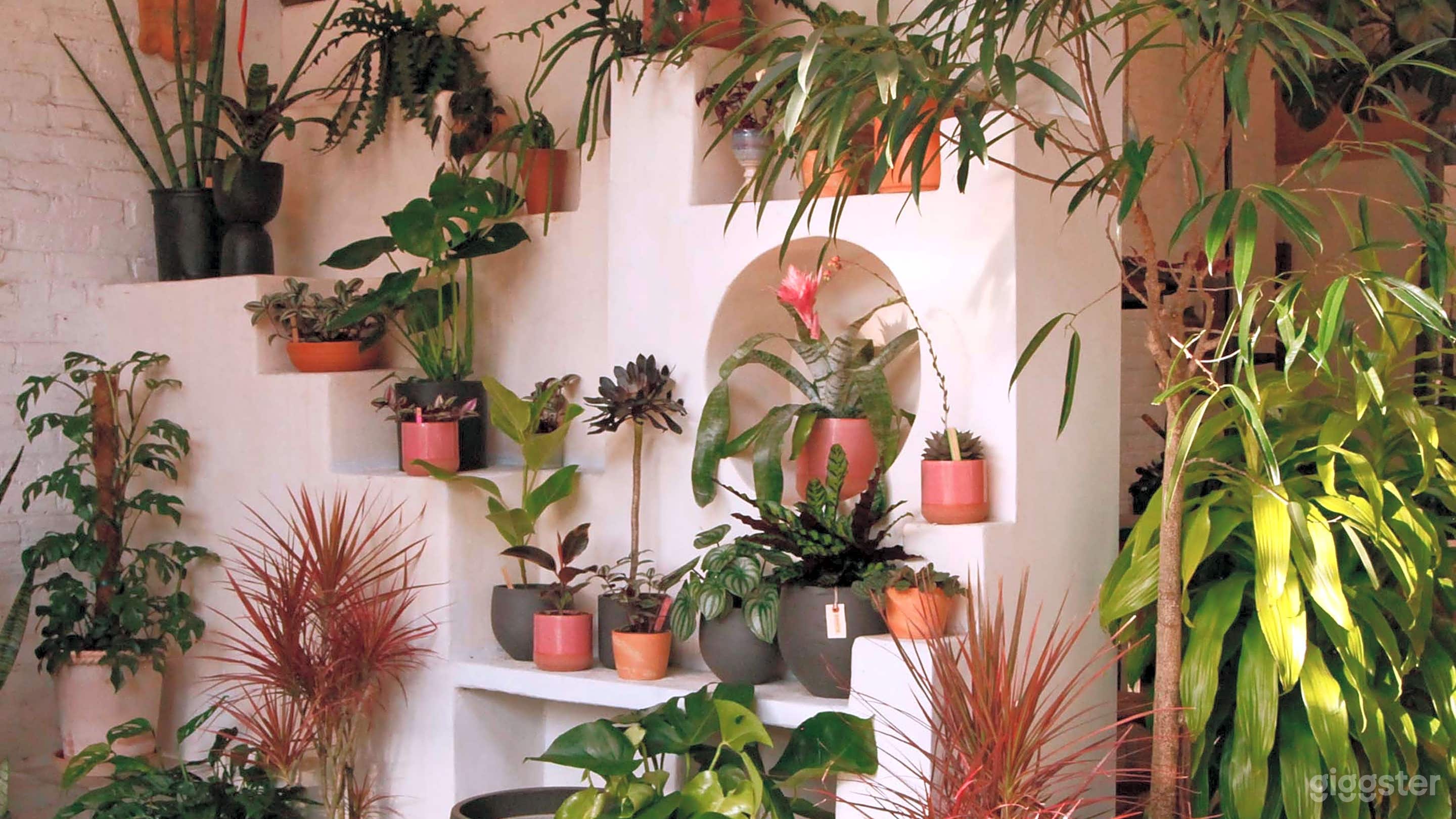 Stunning Natural Light Industrial Space Photo 2