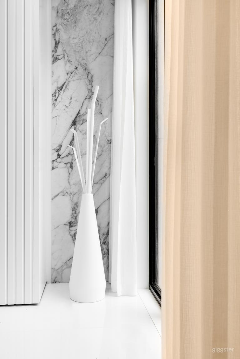  STUNNING Modern + Parisian Style Home in Toronto 