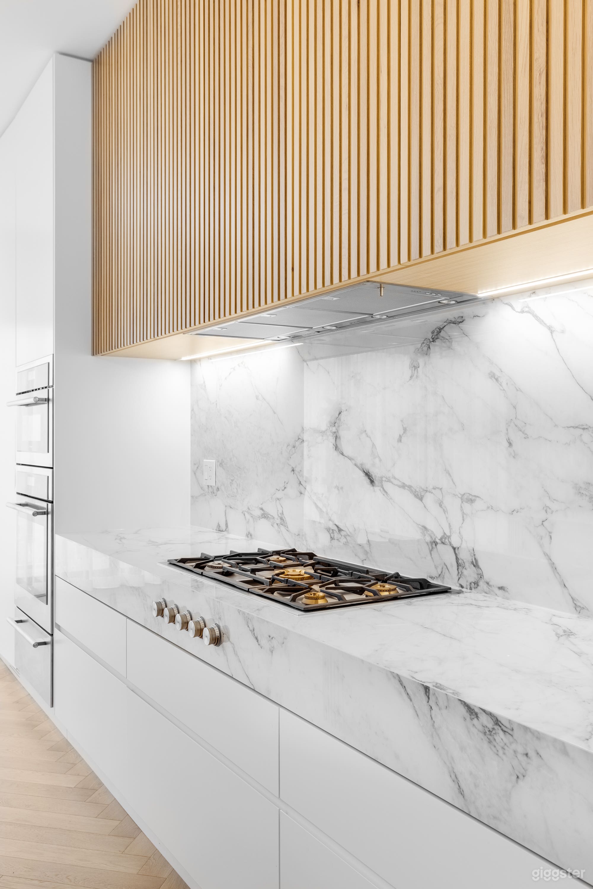 STUNNING Modern + Parisian Style Home in Toronto Photo 4