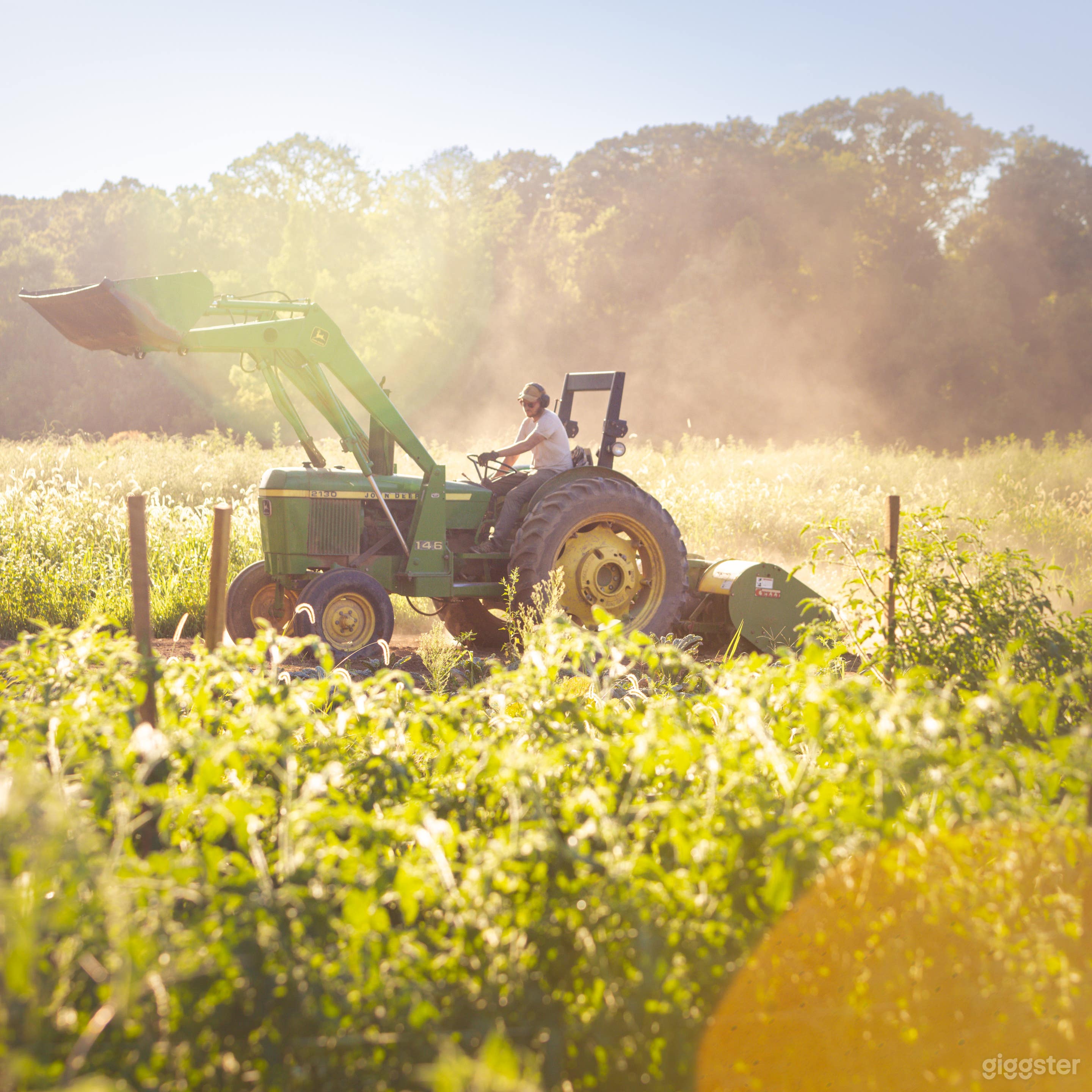 Farmer Mike in the Field