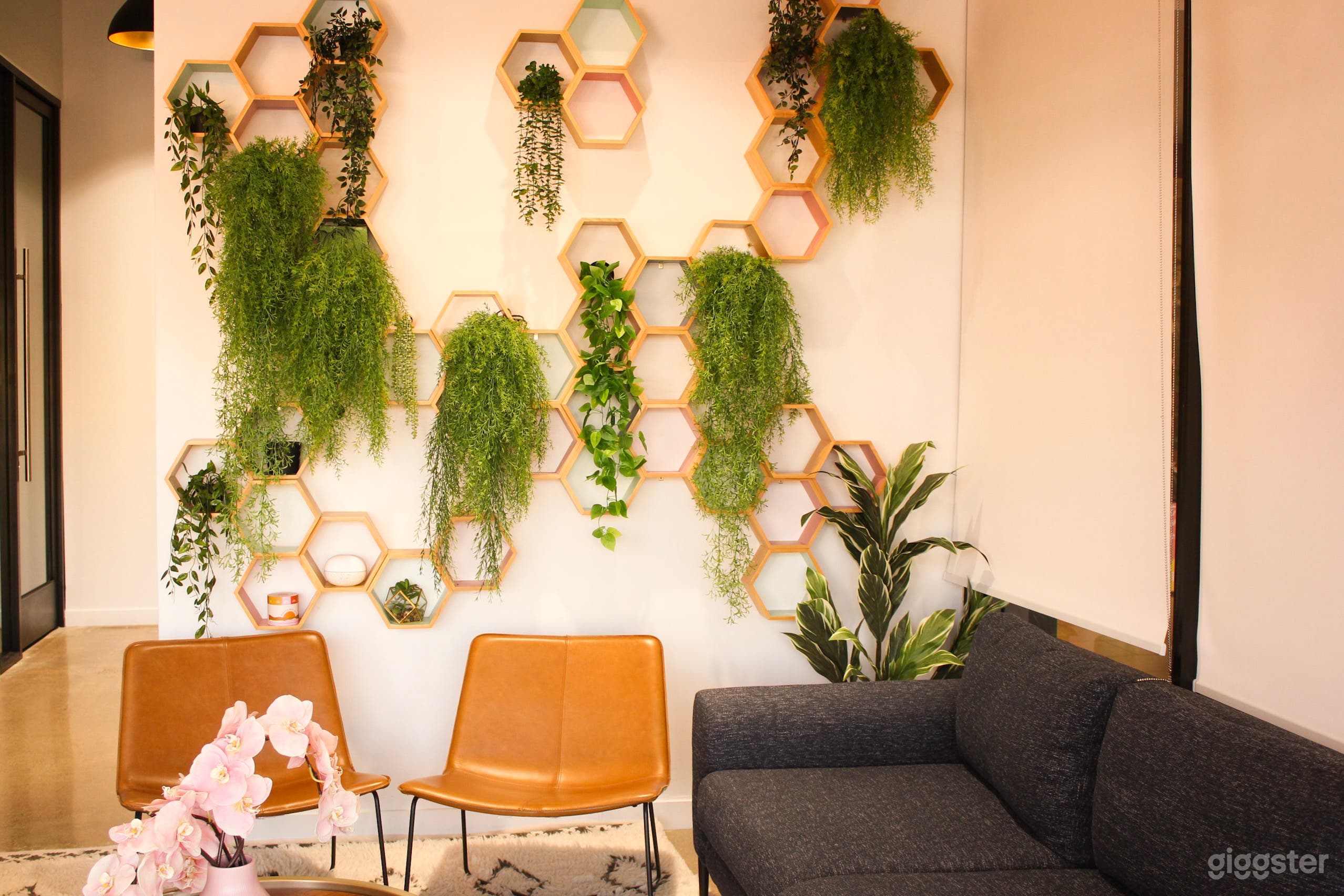 Cozy Lounge for Photo/Video Shoots + Podcasts Photo 2