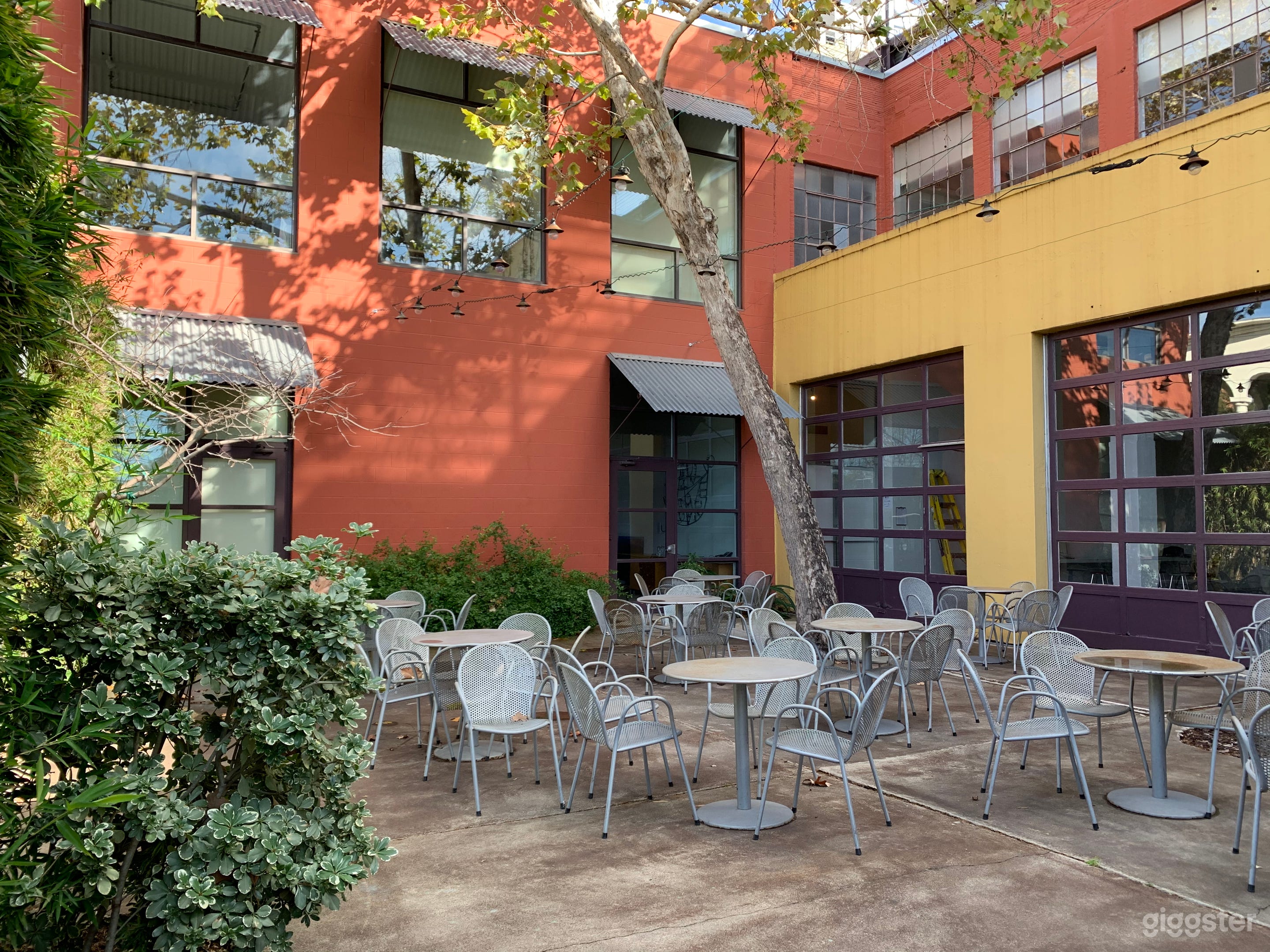 The Courtyard with outdoor tables and chairs surrounded by plants and colorful walls.