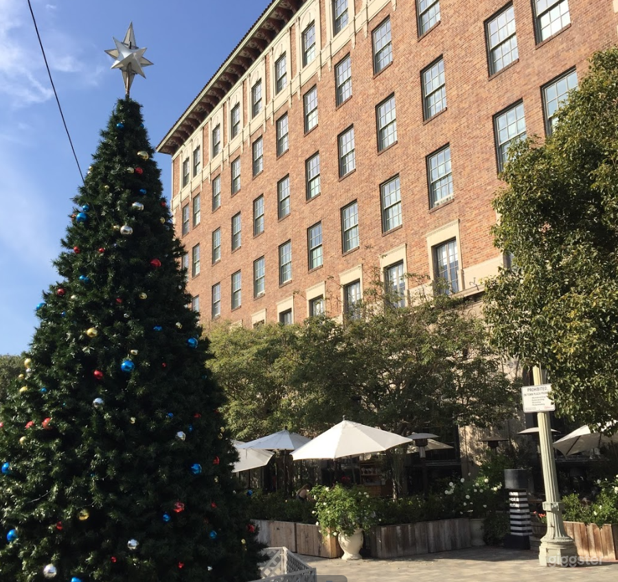 Le Jardin Patio in California Photo 4