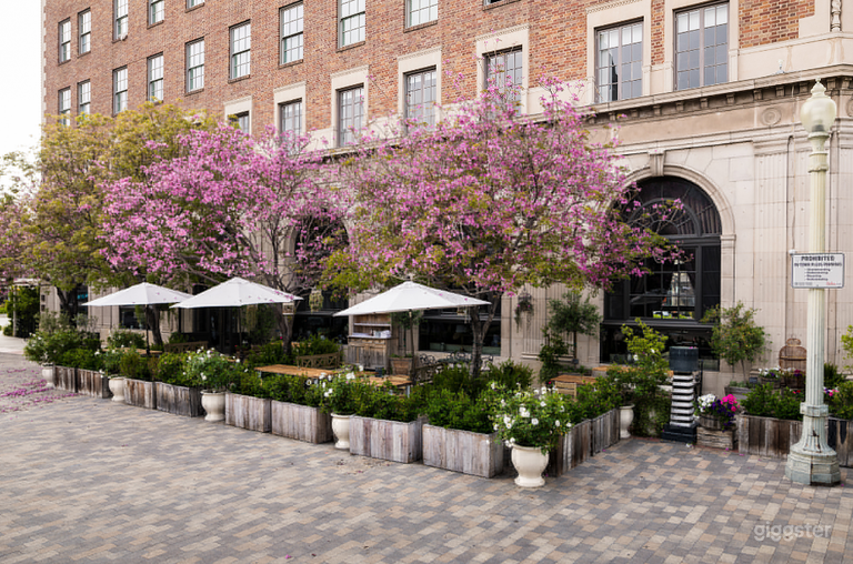  Le Jardin Patio in California 