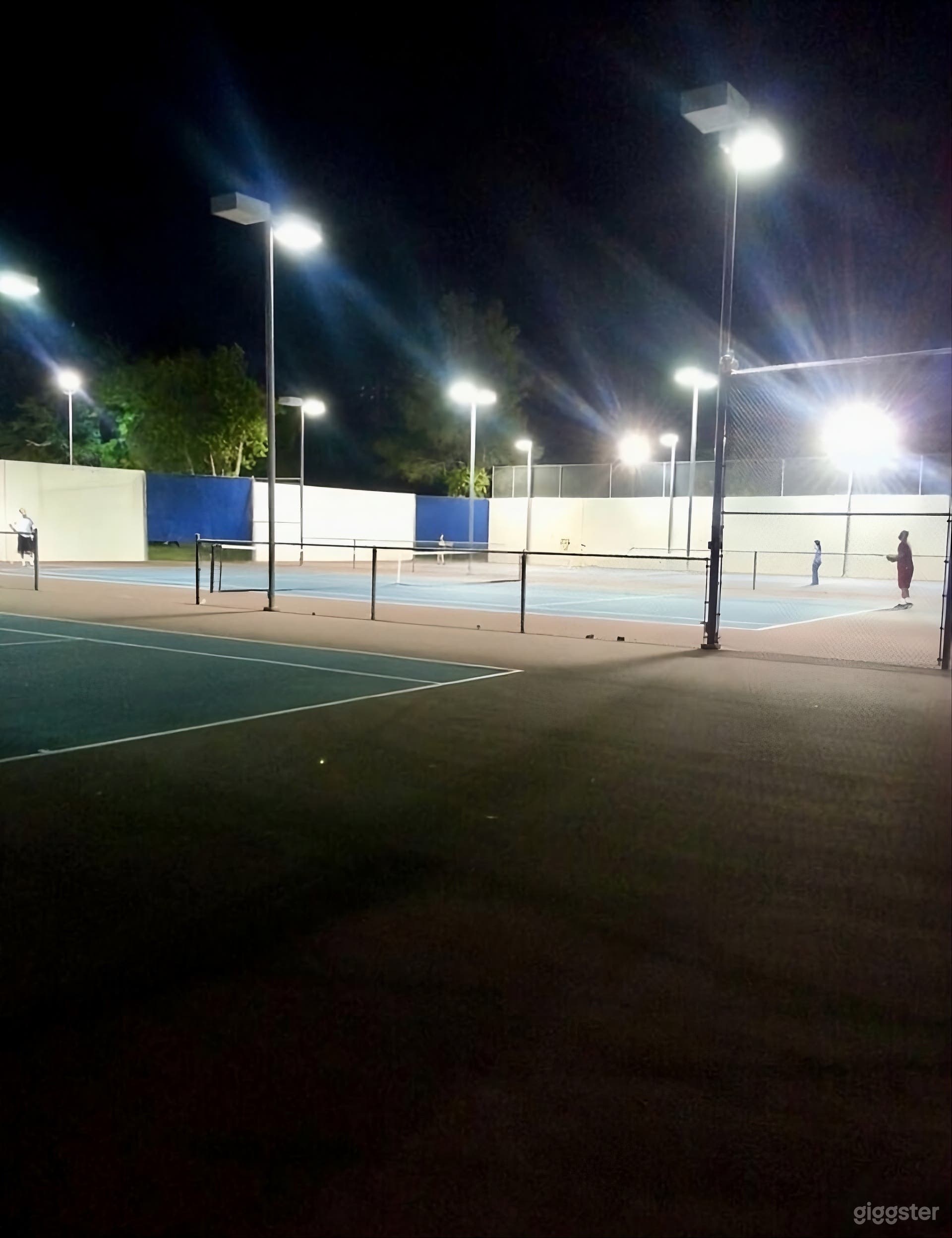Pro Tennis & Pickleball Court Complex with Night Lighting Photo 3