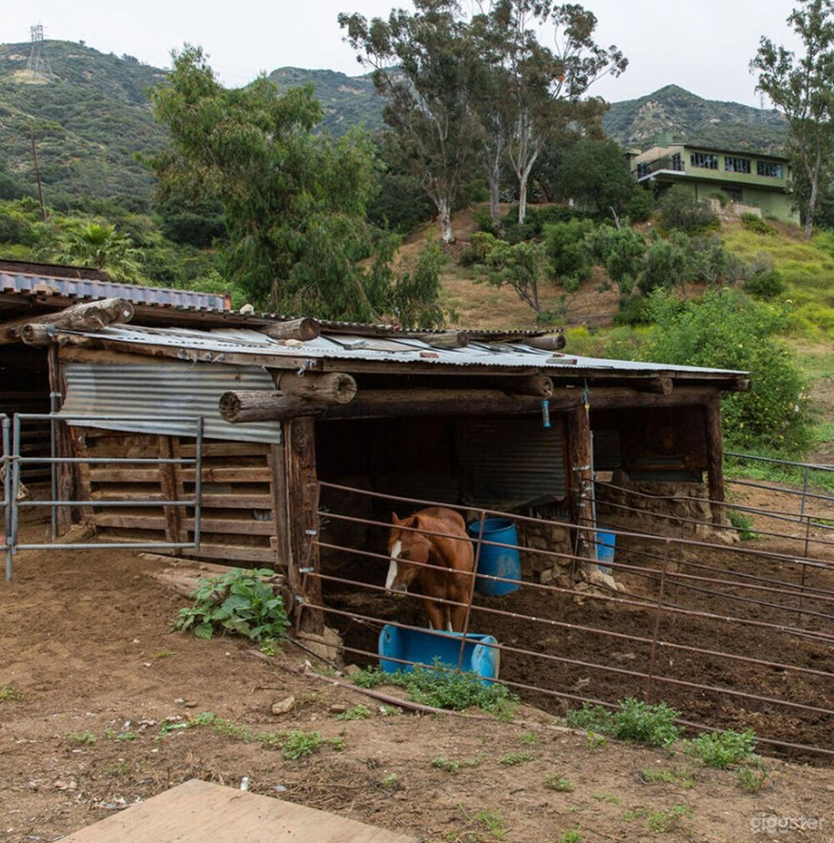 Versatile Outdoor Setting Photo 1