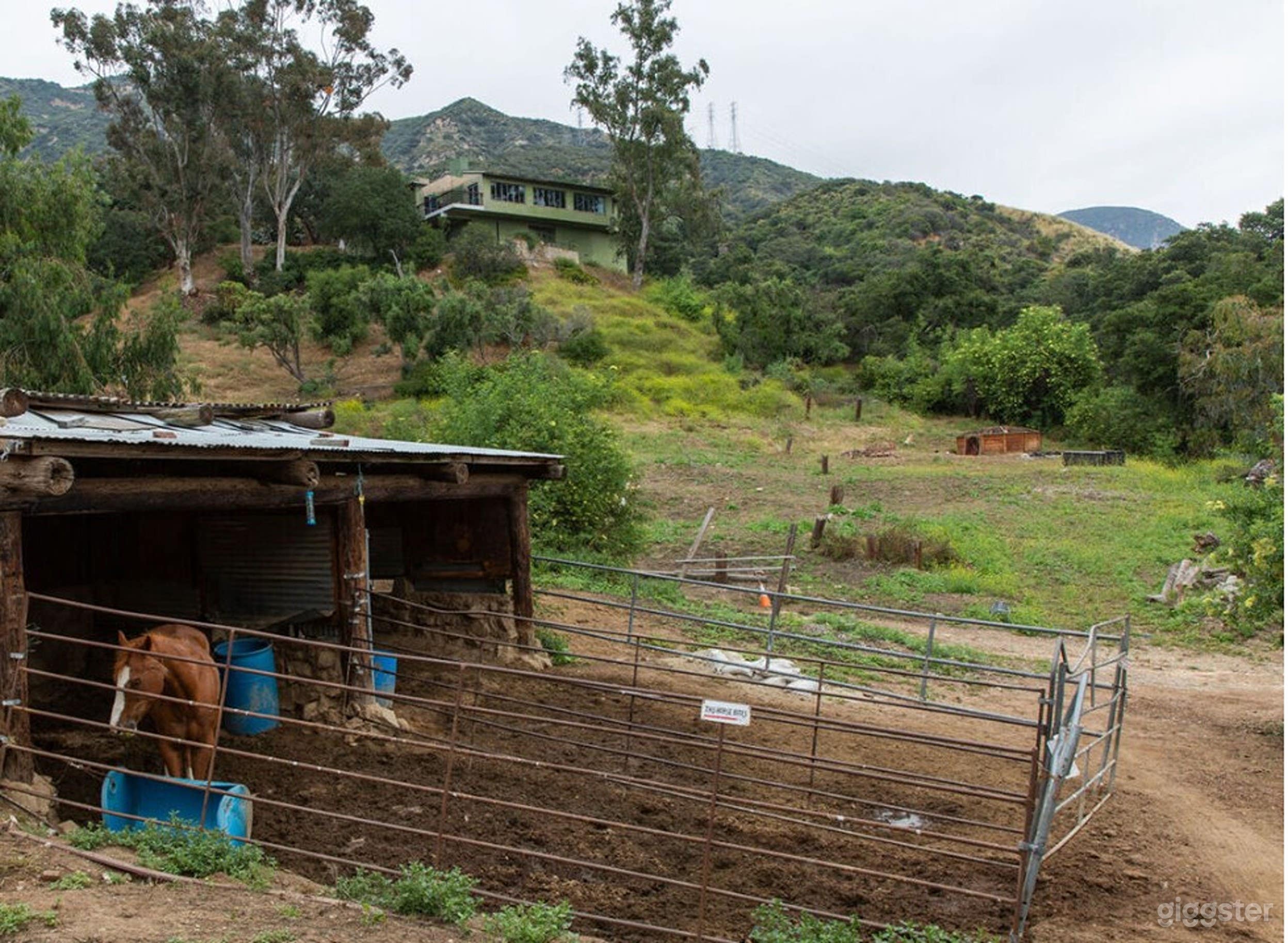 Versatile Outdoor Setting Photo 4