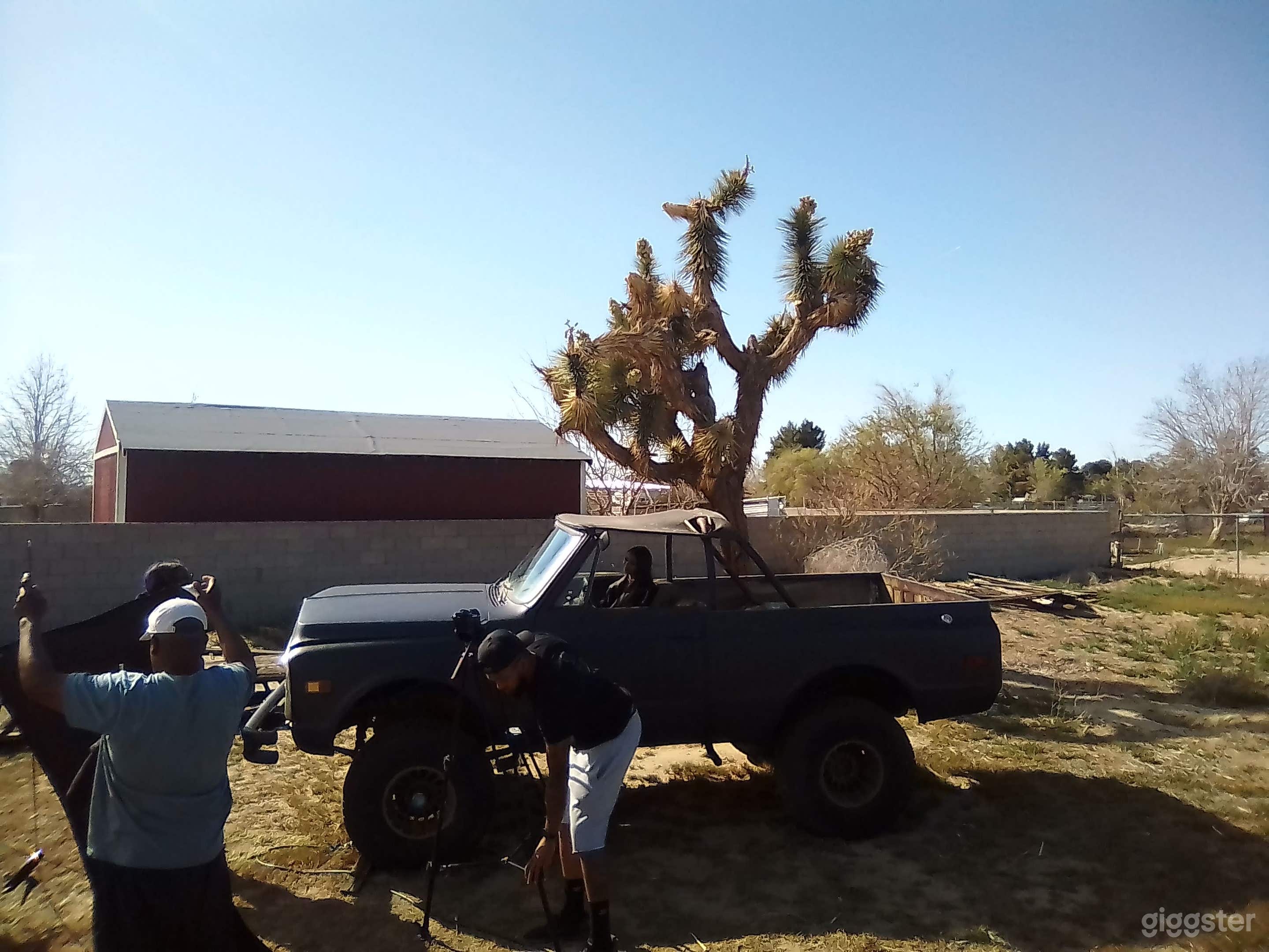 71 Chevy Blazer K5 SUV - Monster Truck Photo 3