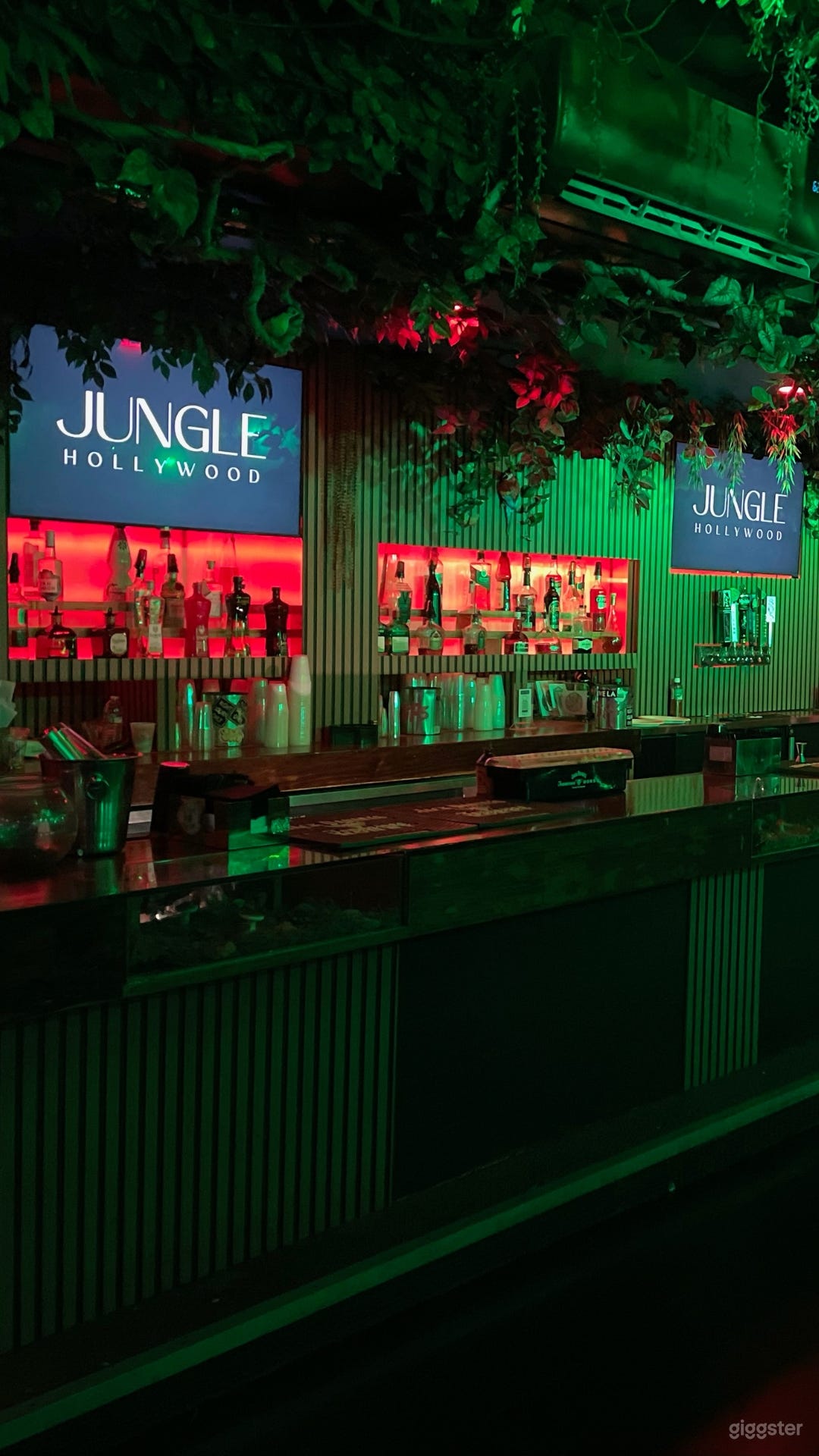 Open Space Bar and Club Photo 2