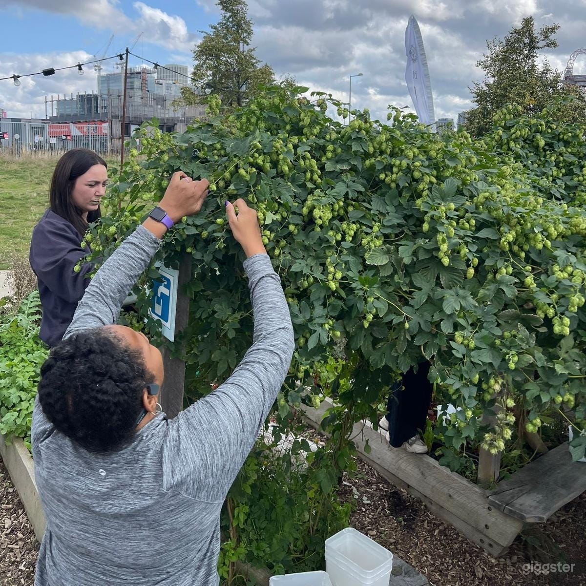 Orchard Venue with Leafy Garden View Photo 3