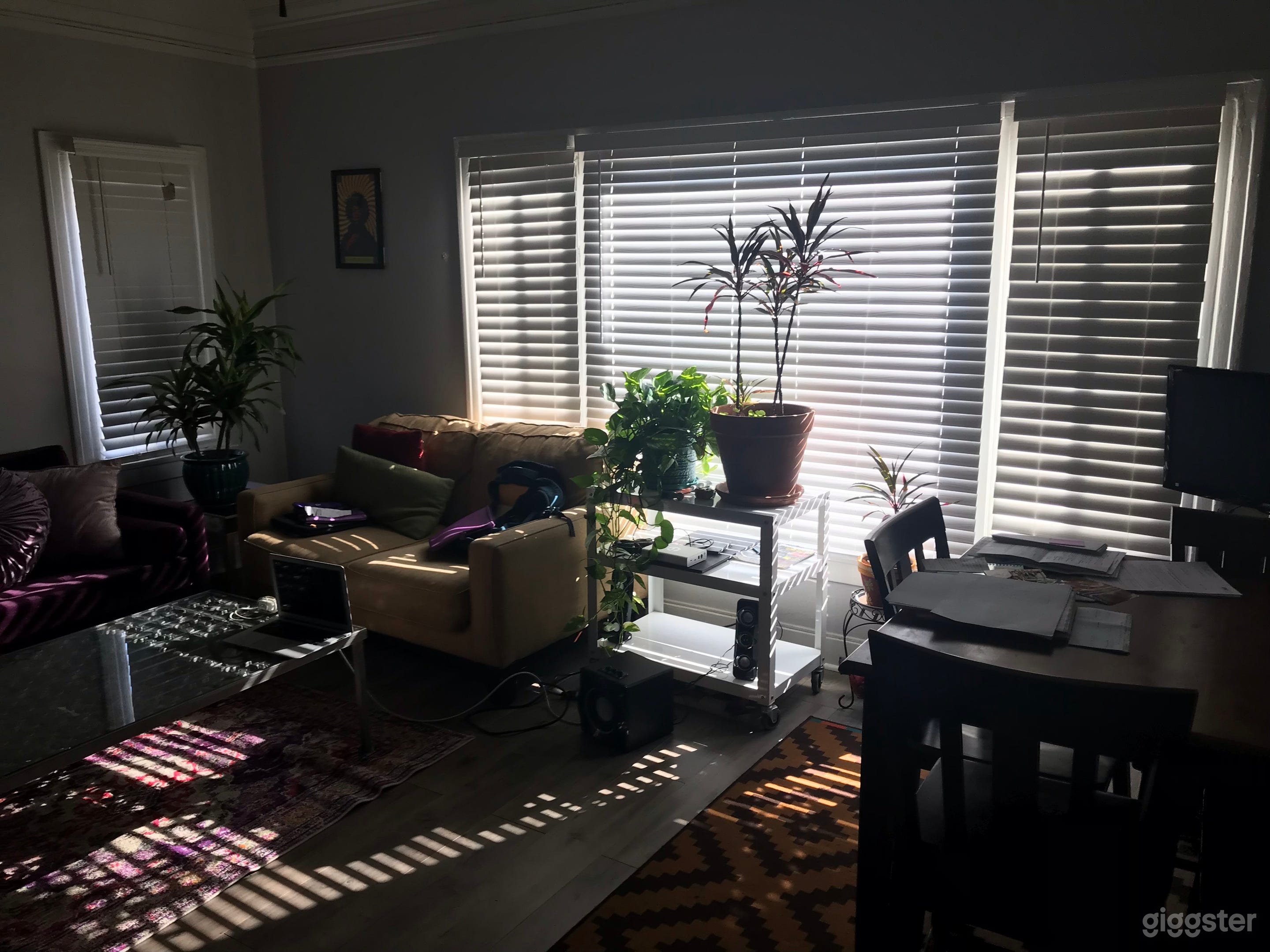 Living Room (facing south window)