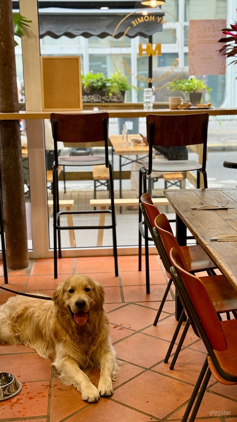  Cozy All-Day Brunch Spot in Paris 
