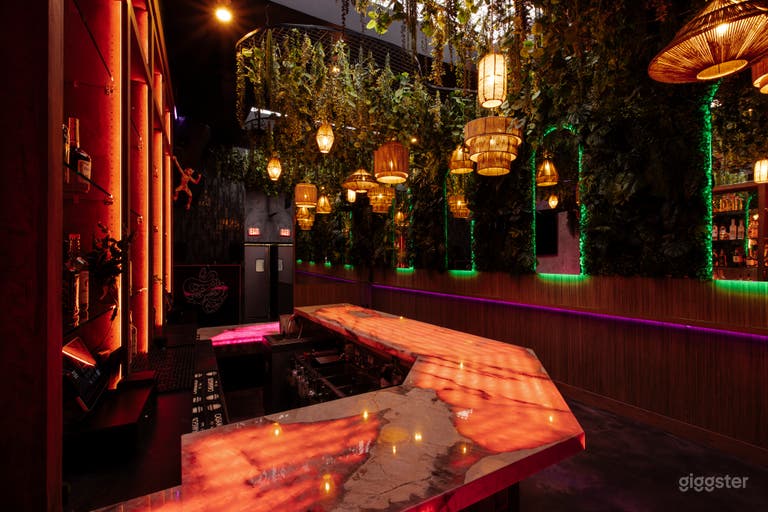  Empty Bar with color lights 