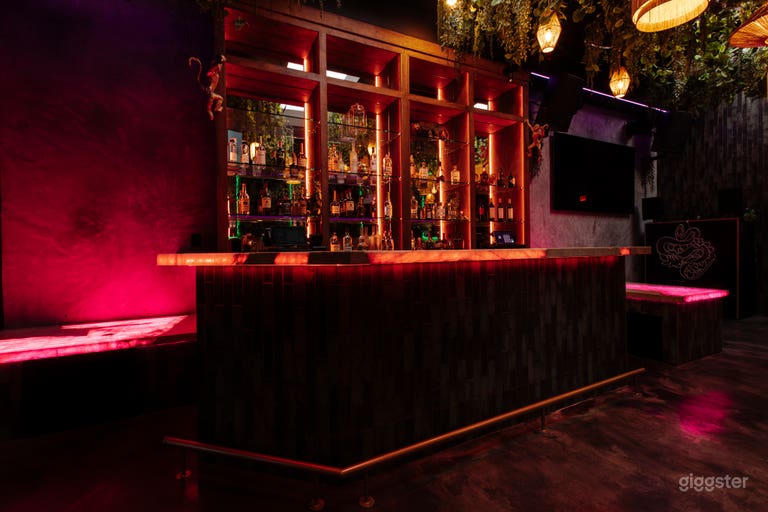  Bar counter and bar back with color lights, featuring 2 gogo boxes/performance stages 