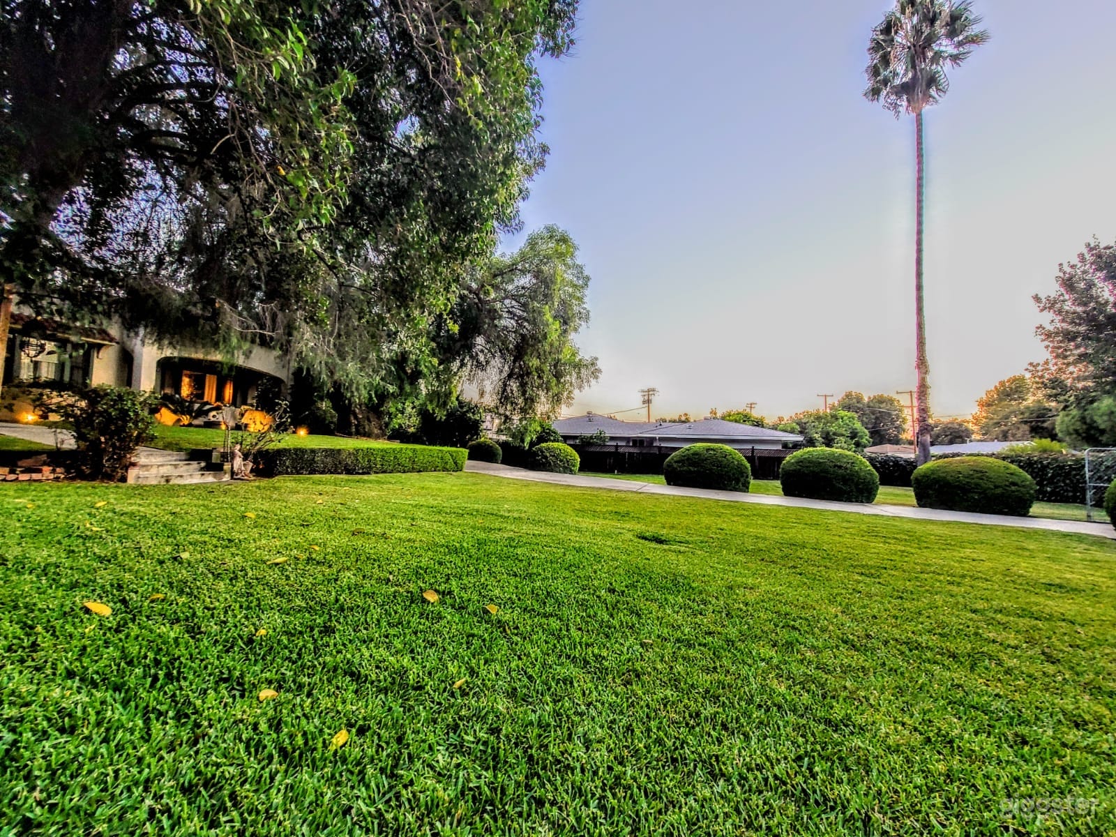 A Hidden Gem Photo 4