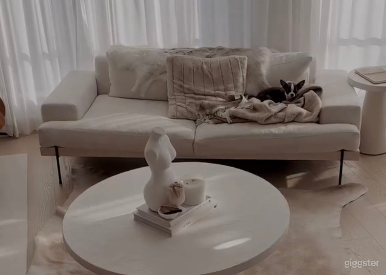 Thiara Loft Vancouver Photo 4