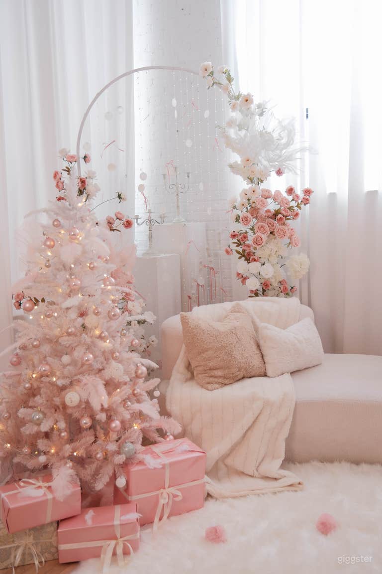  White and Pink Christmas Setting
Soft, cozy, and playful perfect for single, couple, or family photoshoots. 