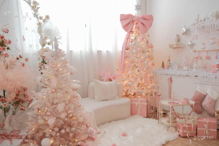  White and Pink Christmas Setting
Soft, cozy, and playful perfect for single, couple, or family photoshoots. 