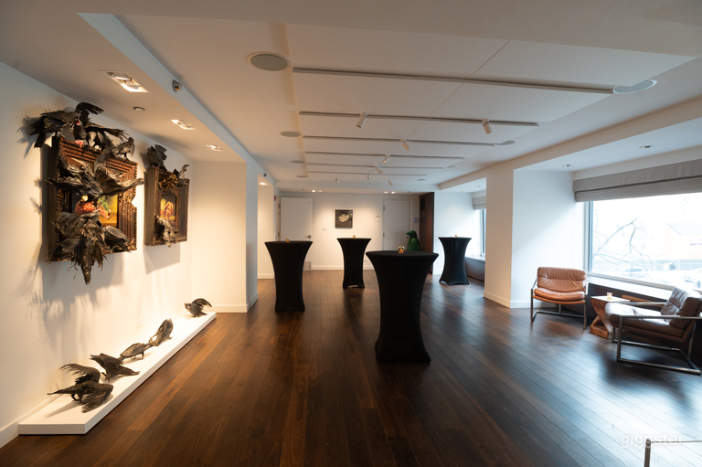  Galería Cinco + Seis 