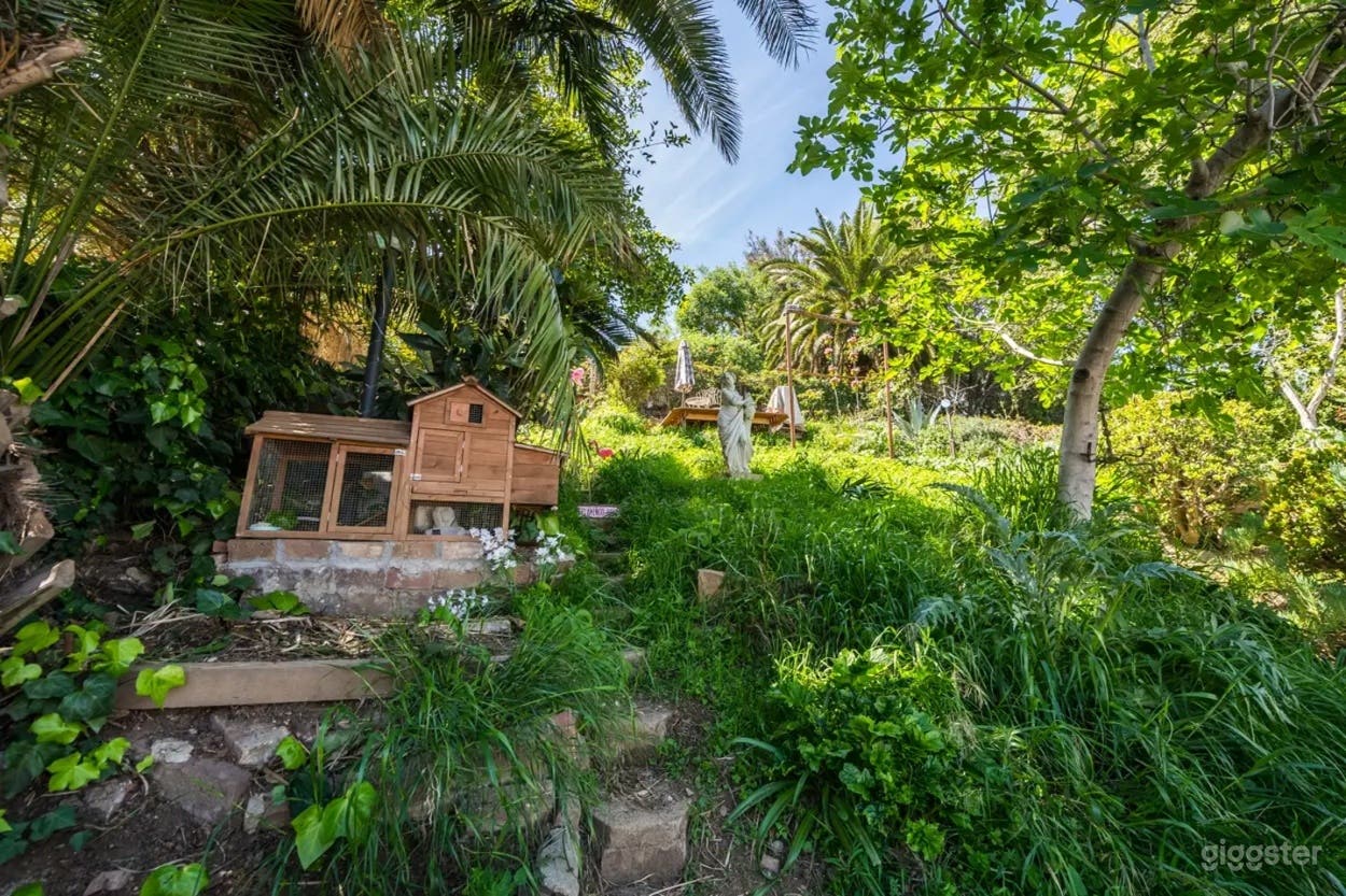 Hidden Backyard Terrace with Scenic Views Photo 4