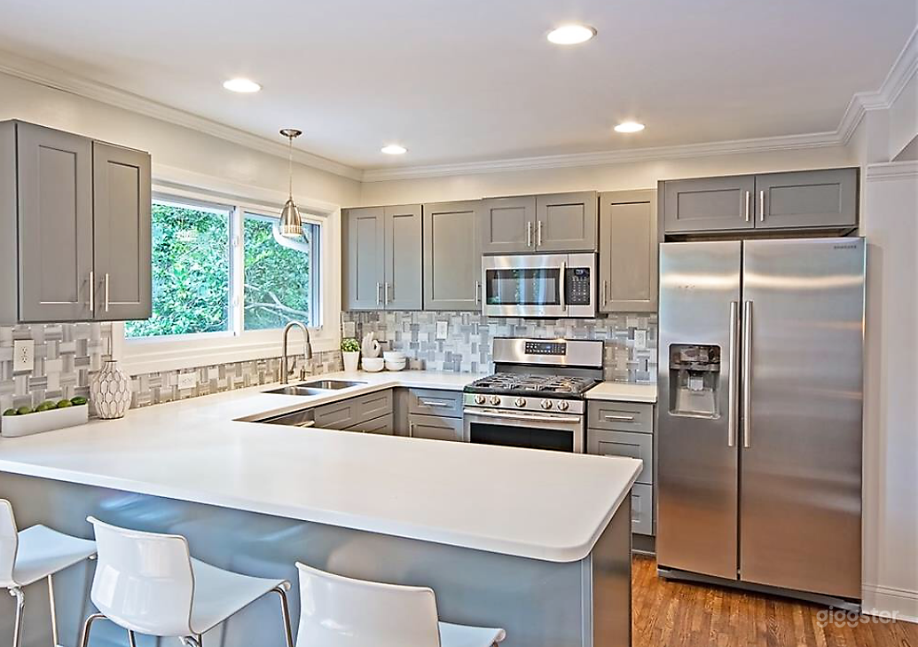 Mid Century Modern Home Photo 4