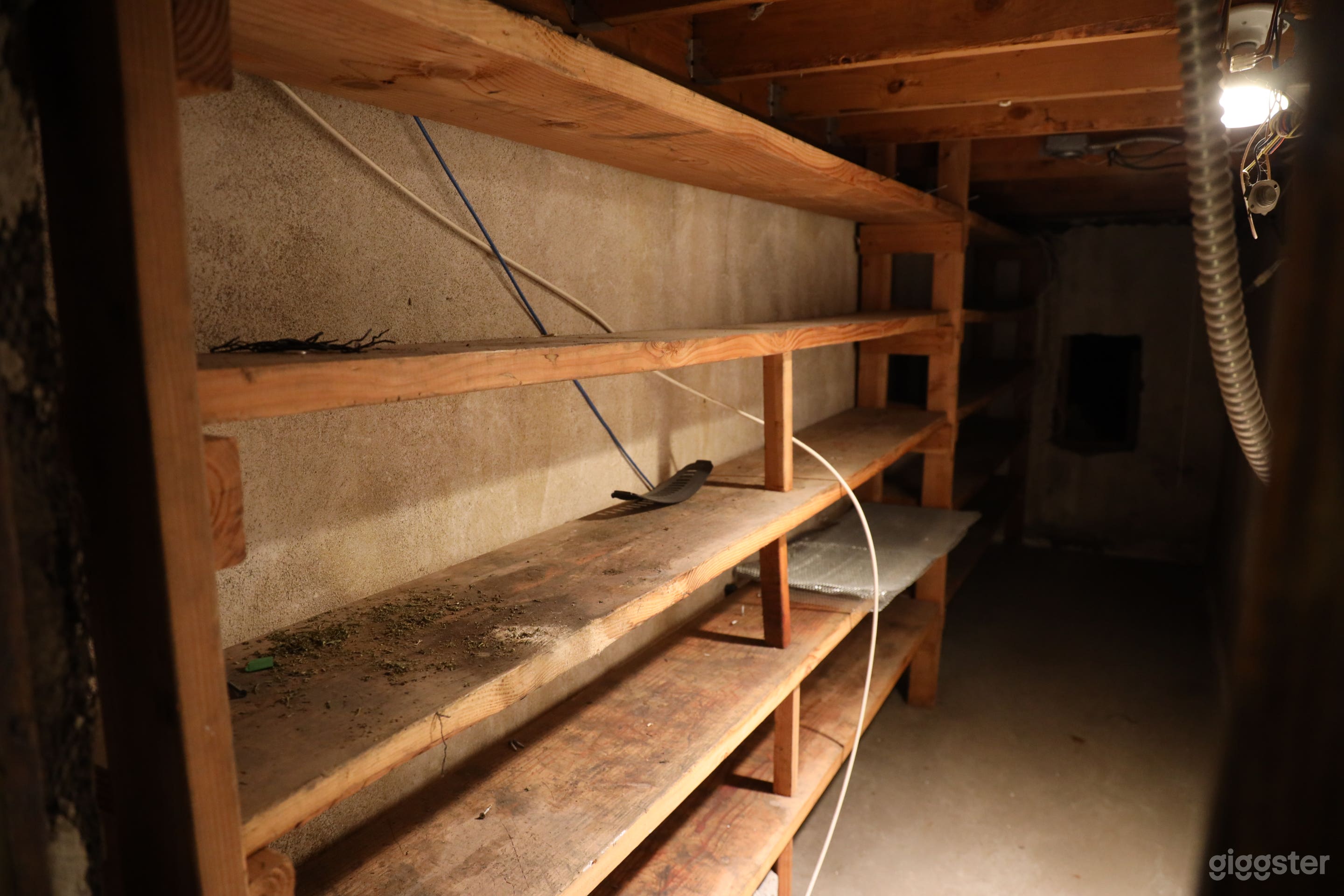 Horror Scenes Studio Set Photo 2
