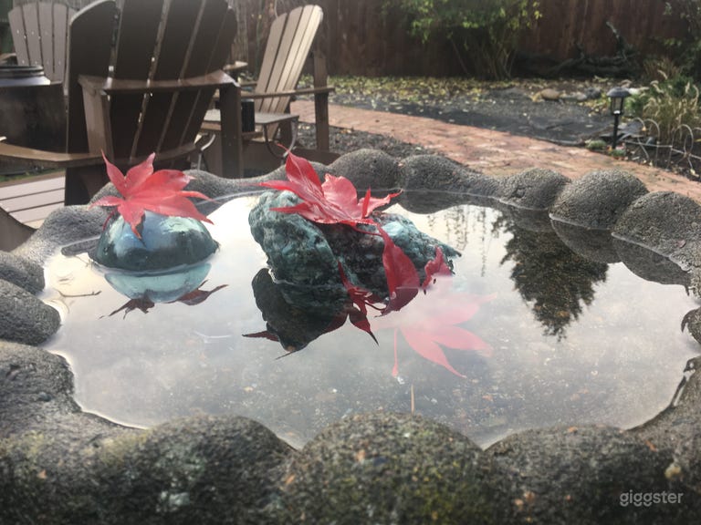  Fall natural touches 