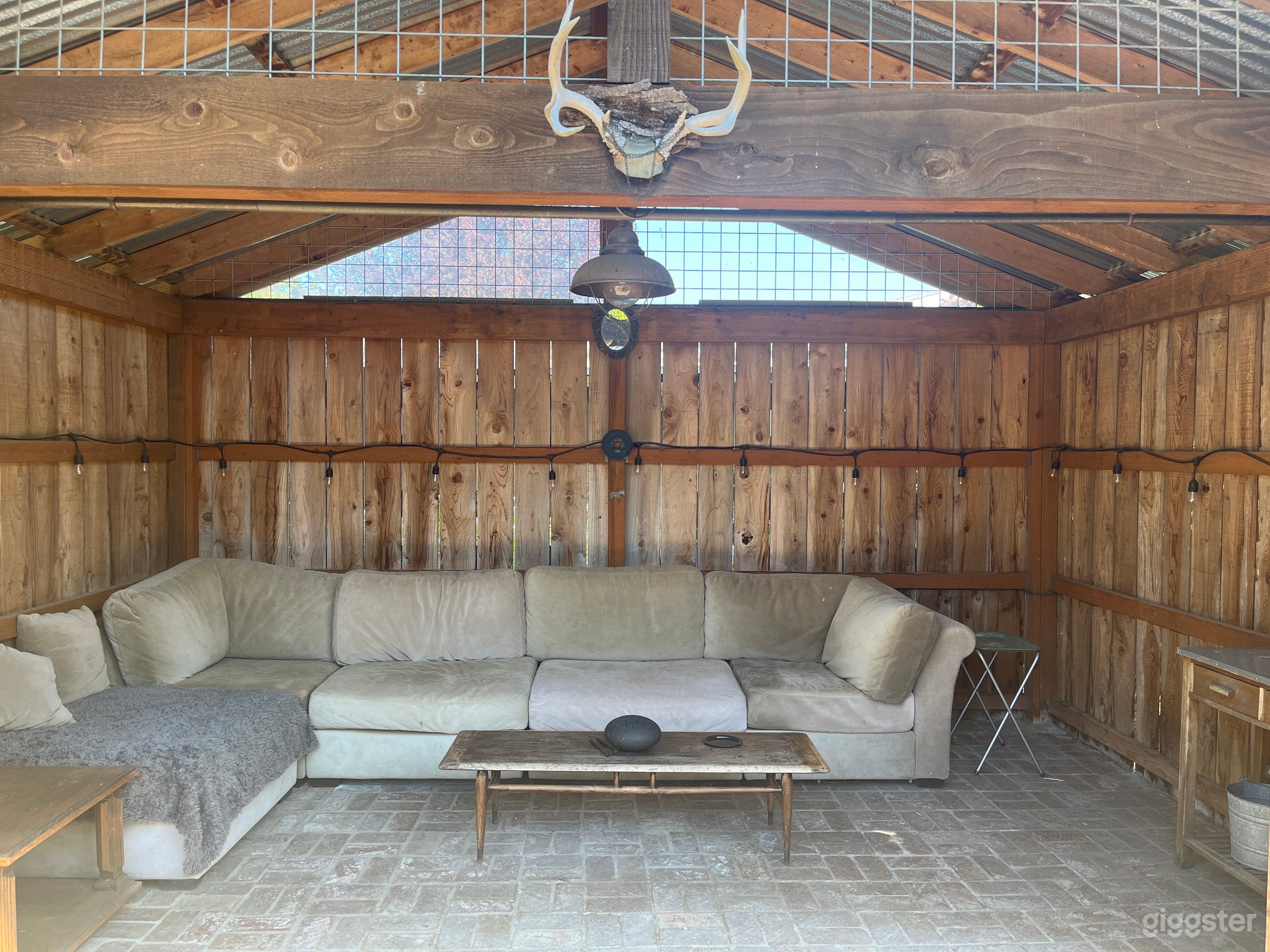 Gorgeous Garden in the city Photo 2