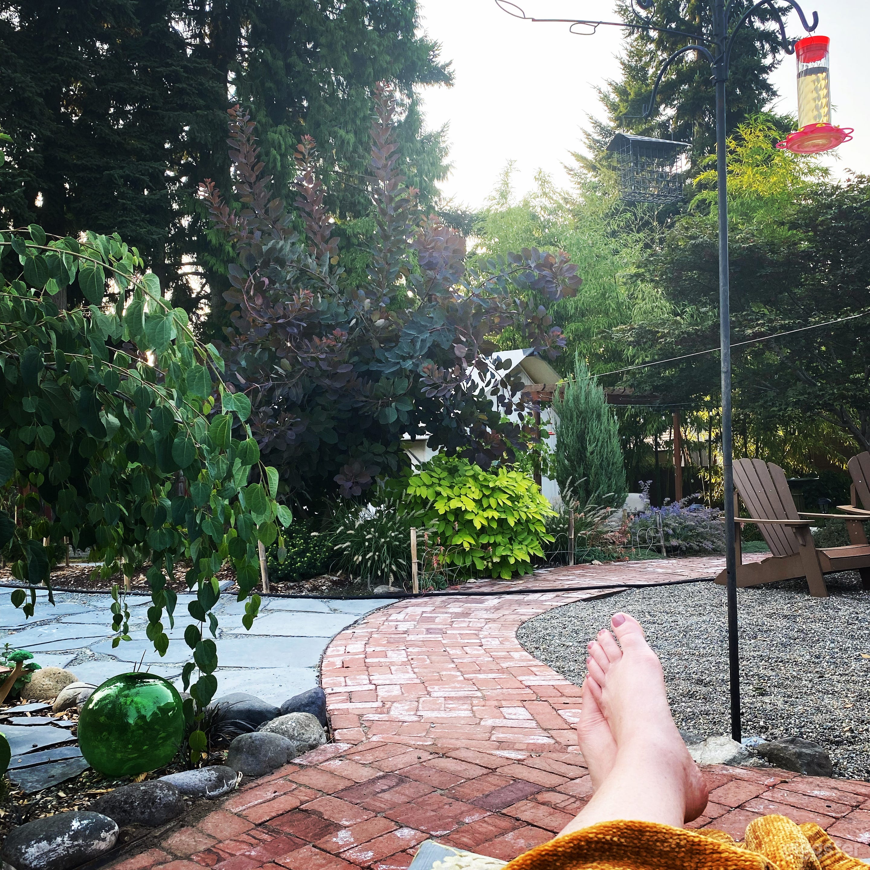 Looking from sauna toward wall tent