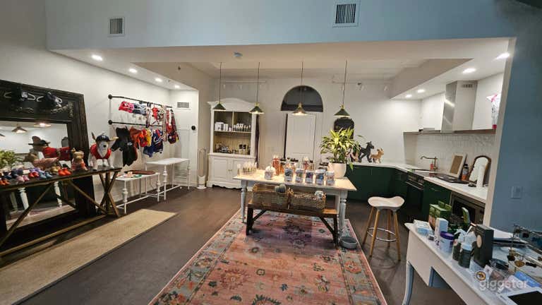  Modern Pet Boutique, Grooming Salon &Loft Photography Studio 