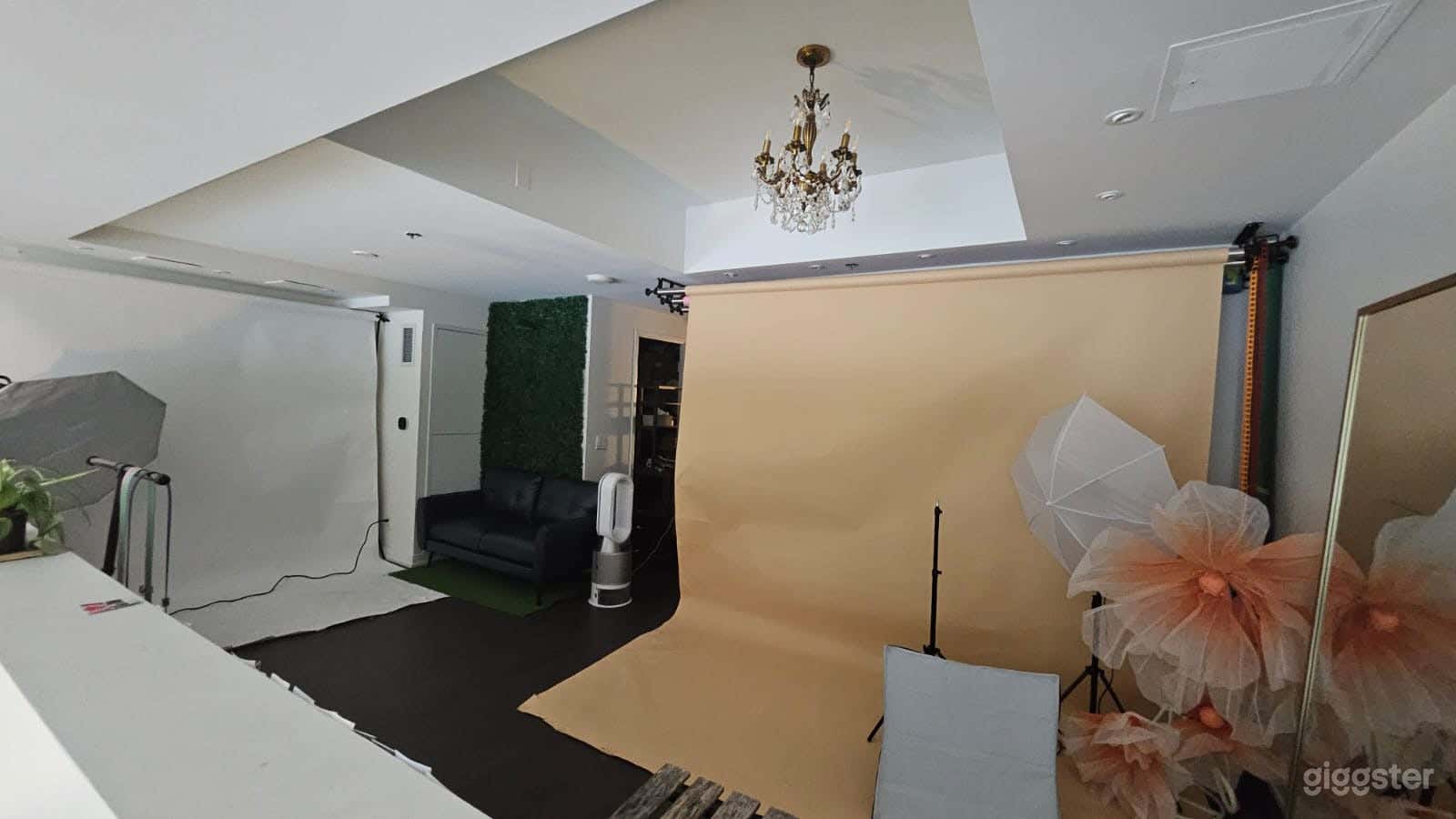 Modern Pet Boutique, Grooming Salon &Loft Photography Studio Photo 3