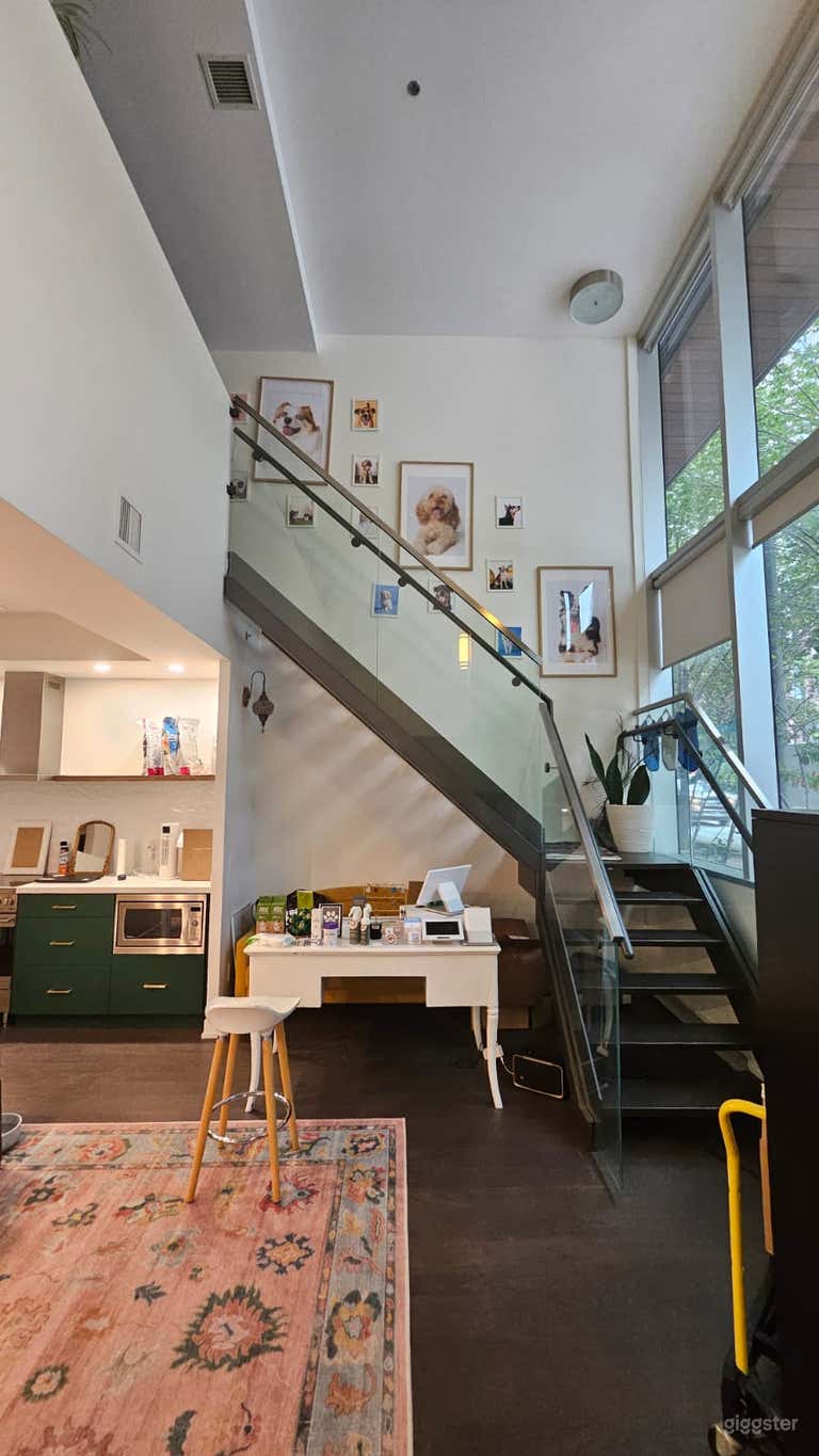  Modern Pet Boutique, Grooming Salon &Loft Photography Studio 