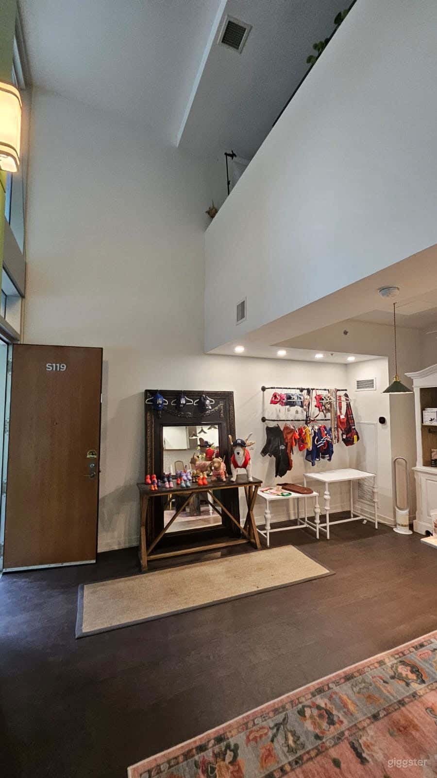 Modern Pet Boutique, Grooming Salon &Loft Photography Studio Photo 4