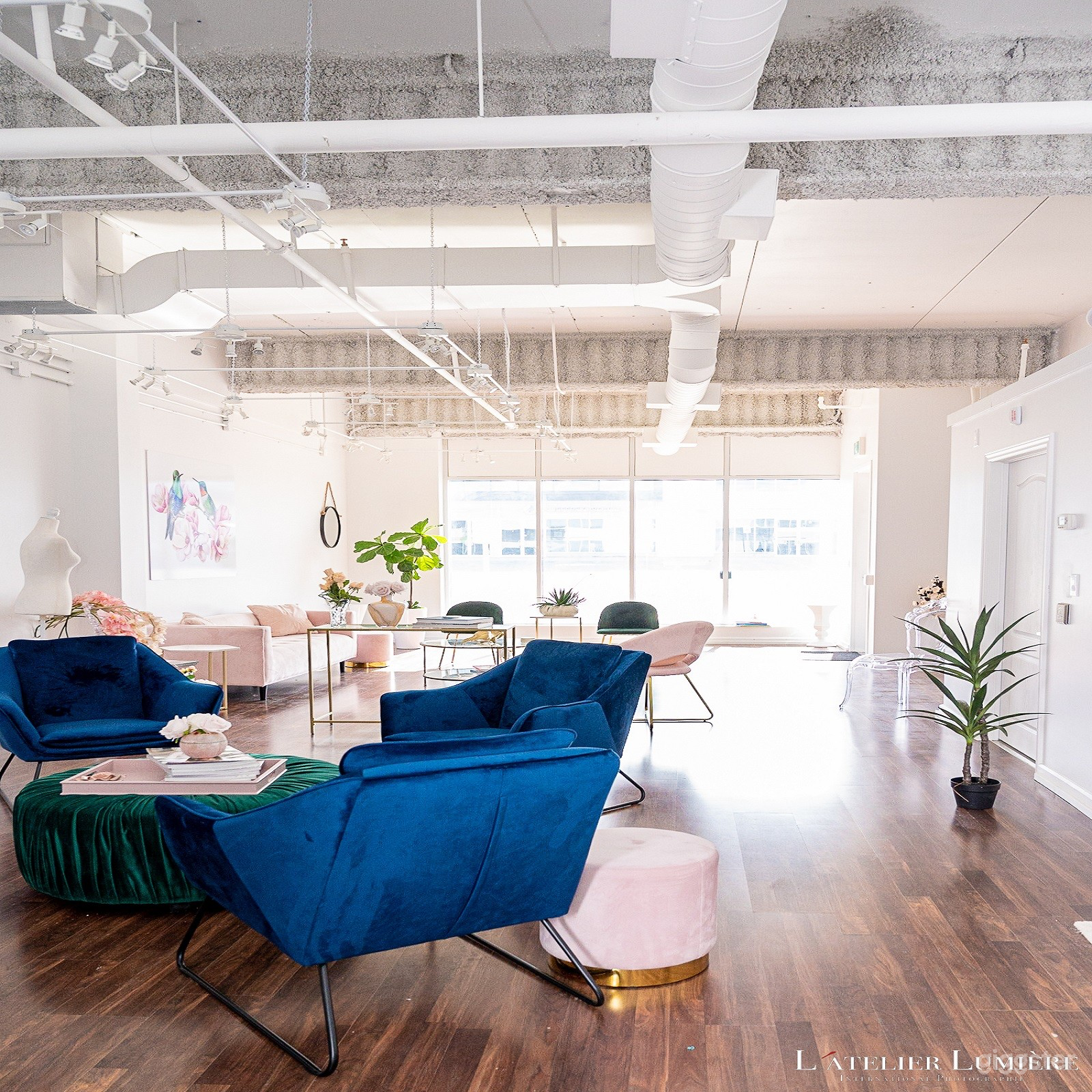 Modern &amp; Chic Studio Space Photo 4