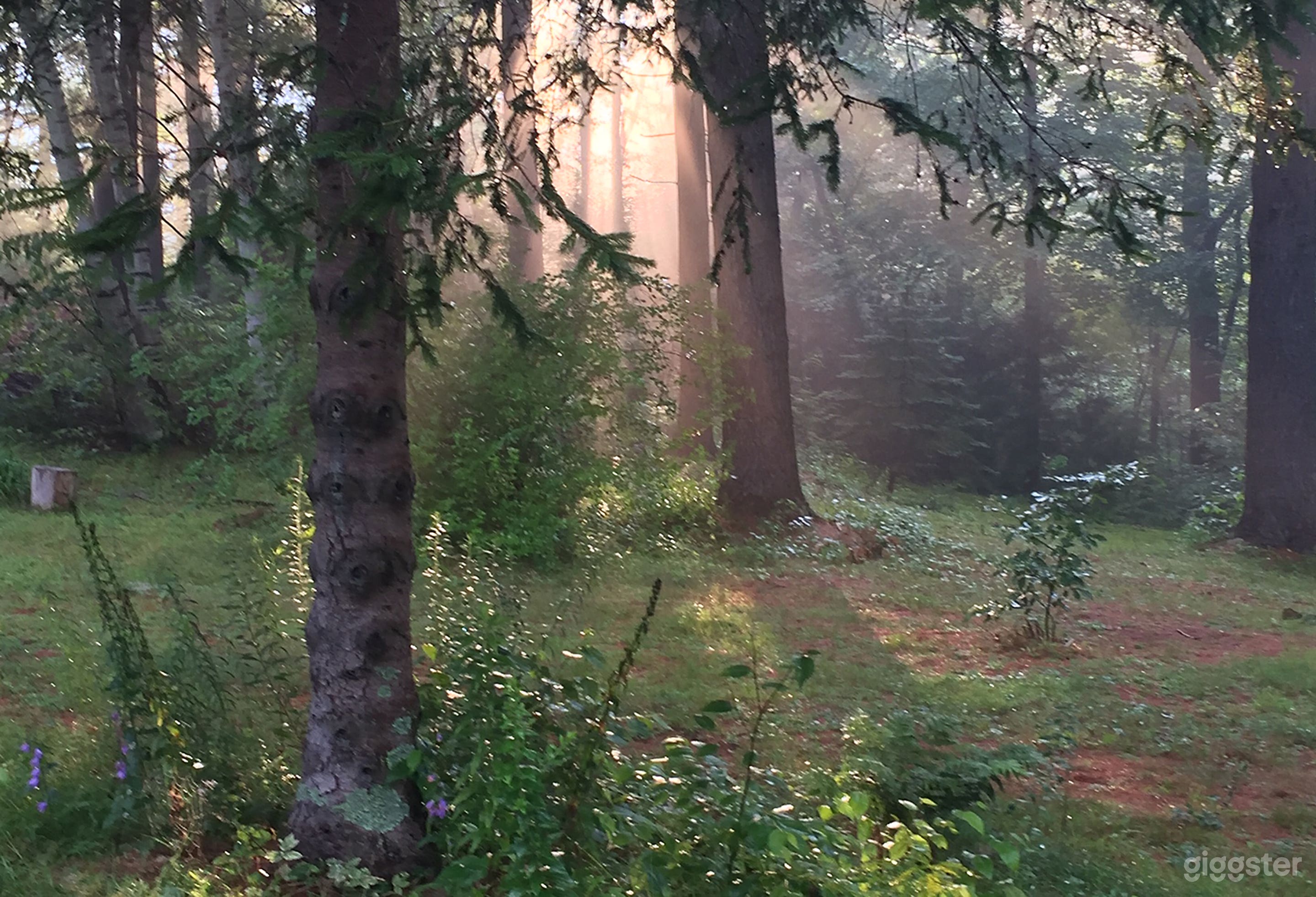 Big Indian Wilderness Home Photo 3