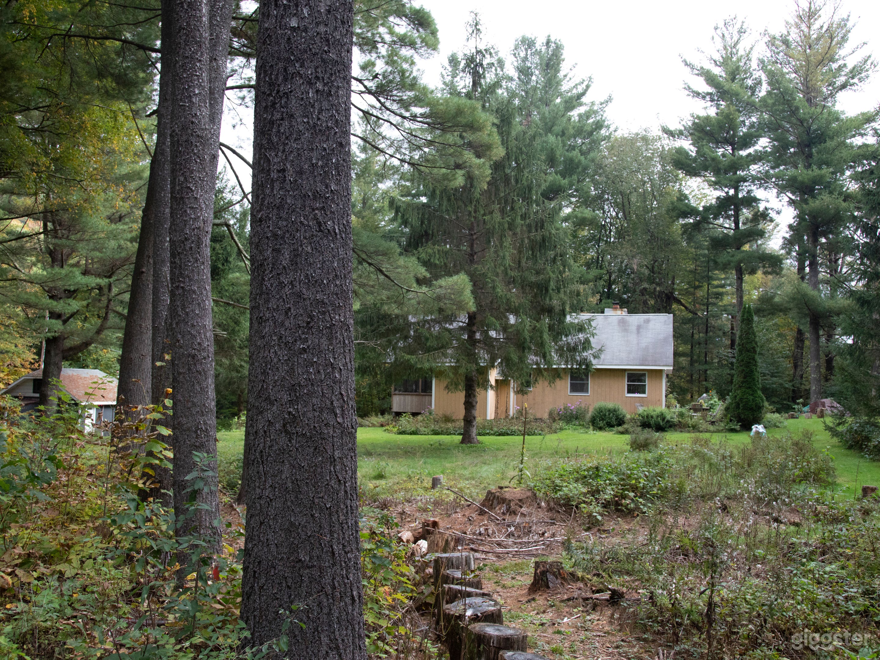 Big Indian Wilderness Home Photo 4