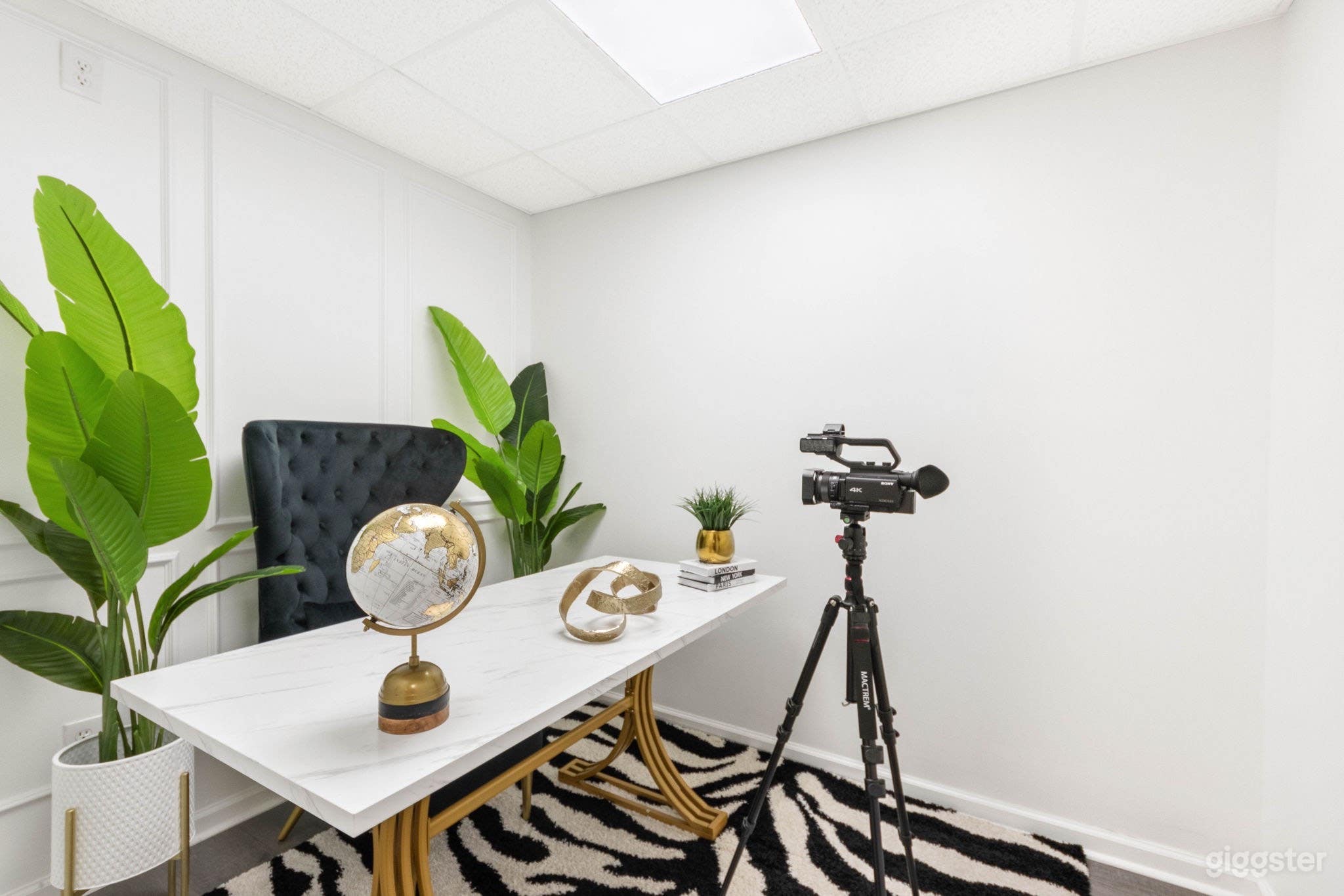 Professional Creative Canvas Studio Photo 2