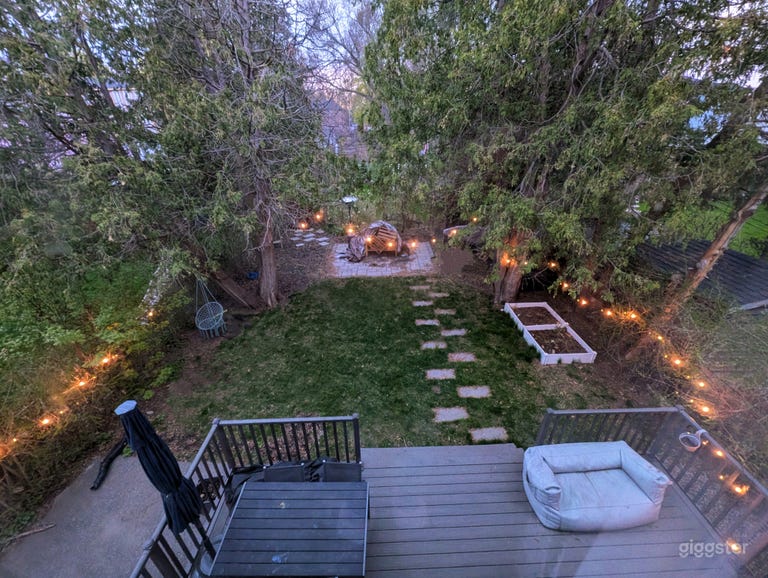  Backyard
 