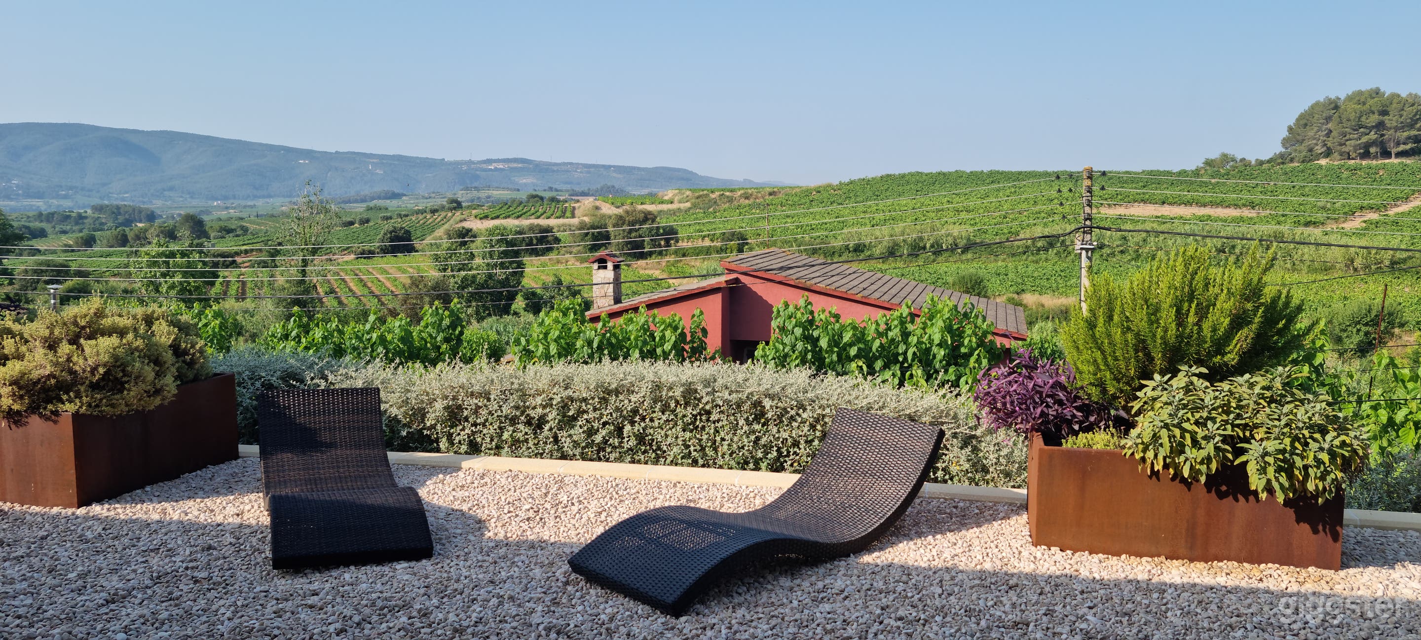 Modern House with Views of Vineyards Foto 3