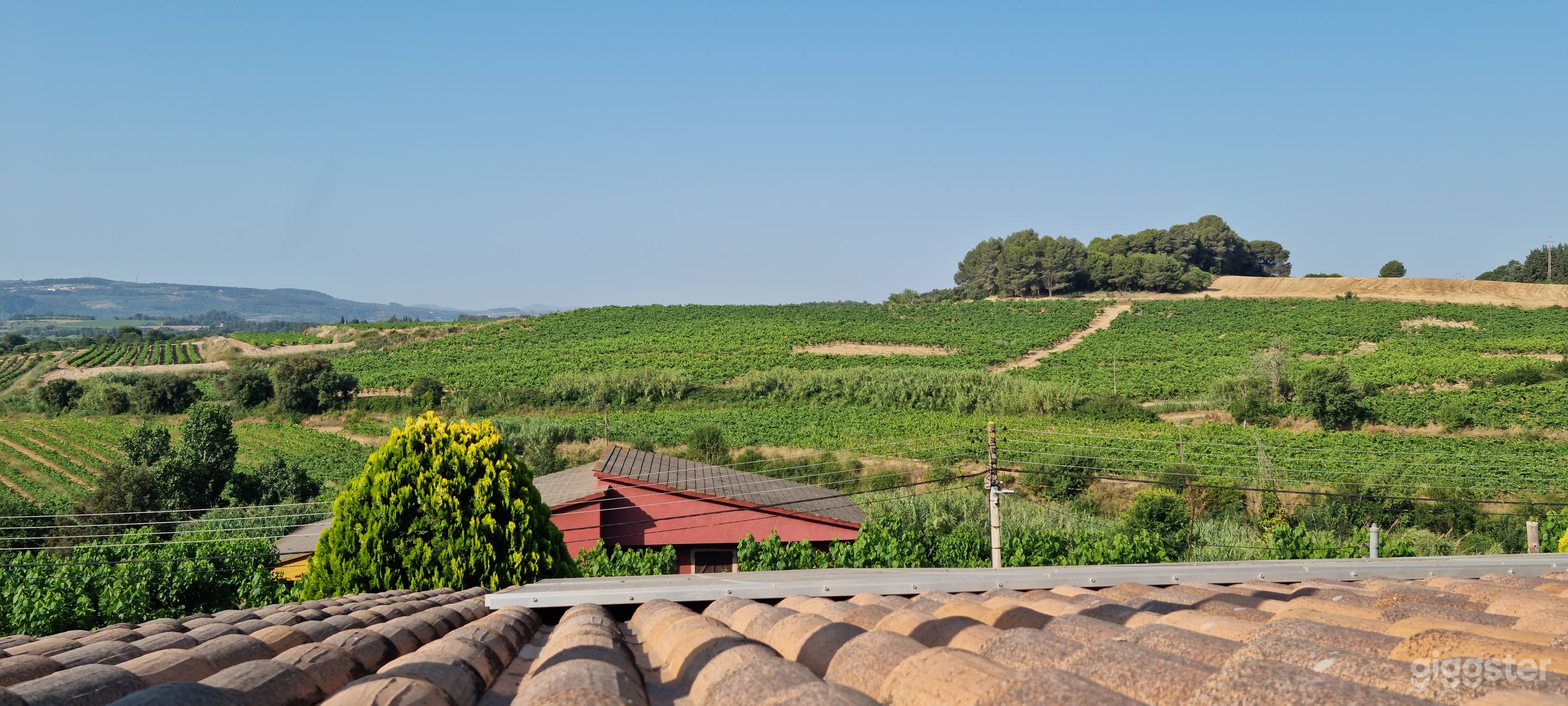 Modern House with Views of Vineyards Foto 2