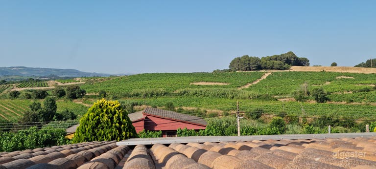  Modern House with Views of Vineyards 