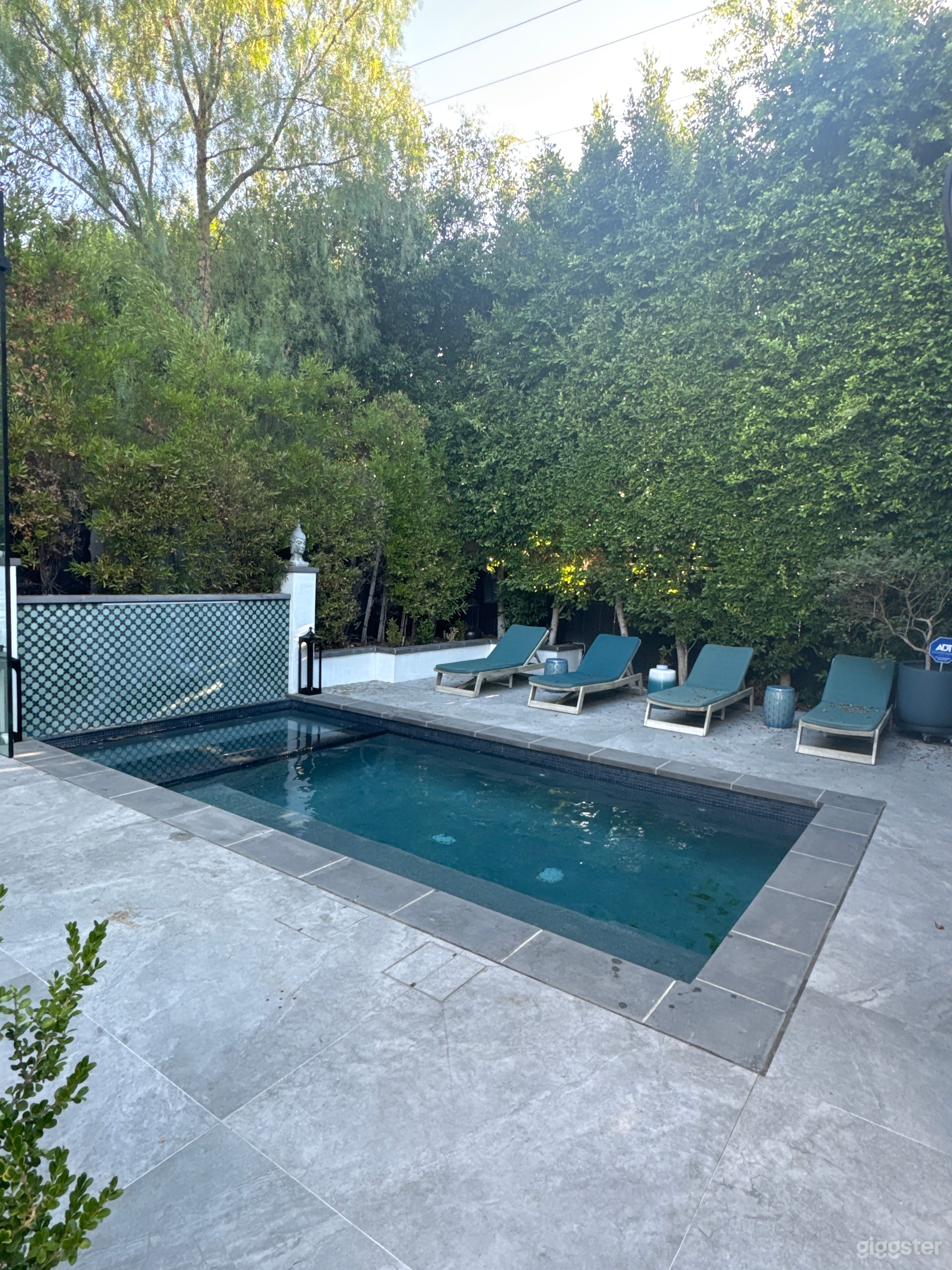 Lavish Pool &amp; Lounge Photo 1