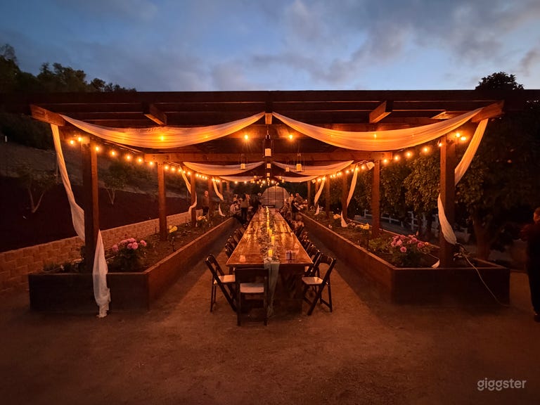  Farmhouse tables in the garden 