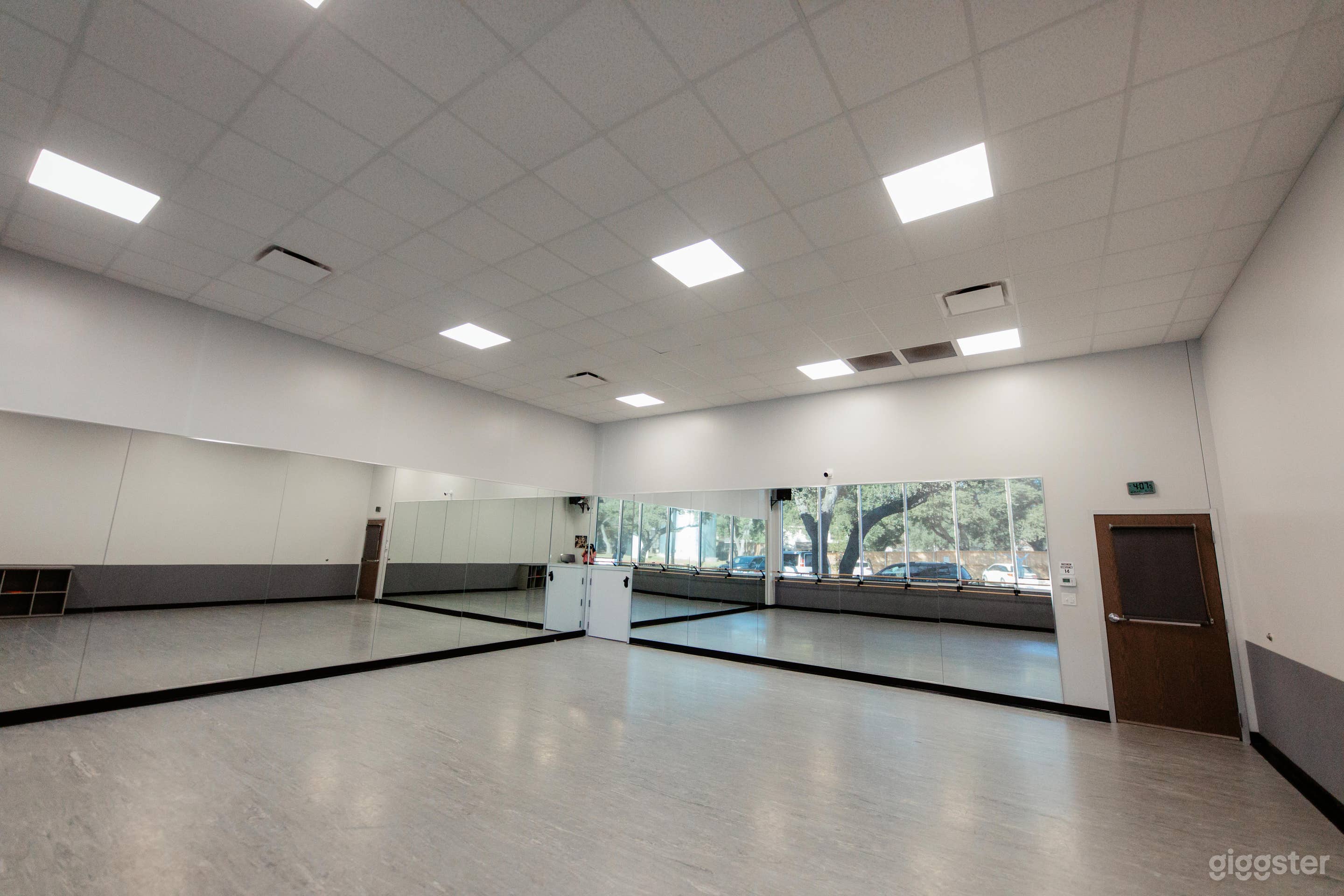 Dance Studio 5 - Whimsical, Fairytale style mini door Photo 2