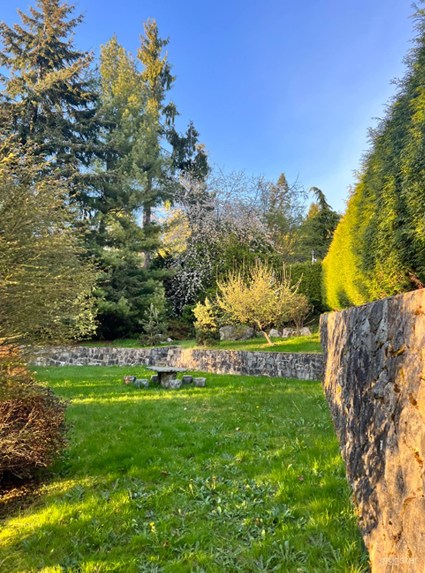 Backyard Bliss Photo 1