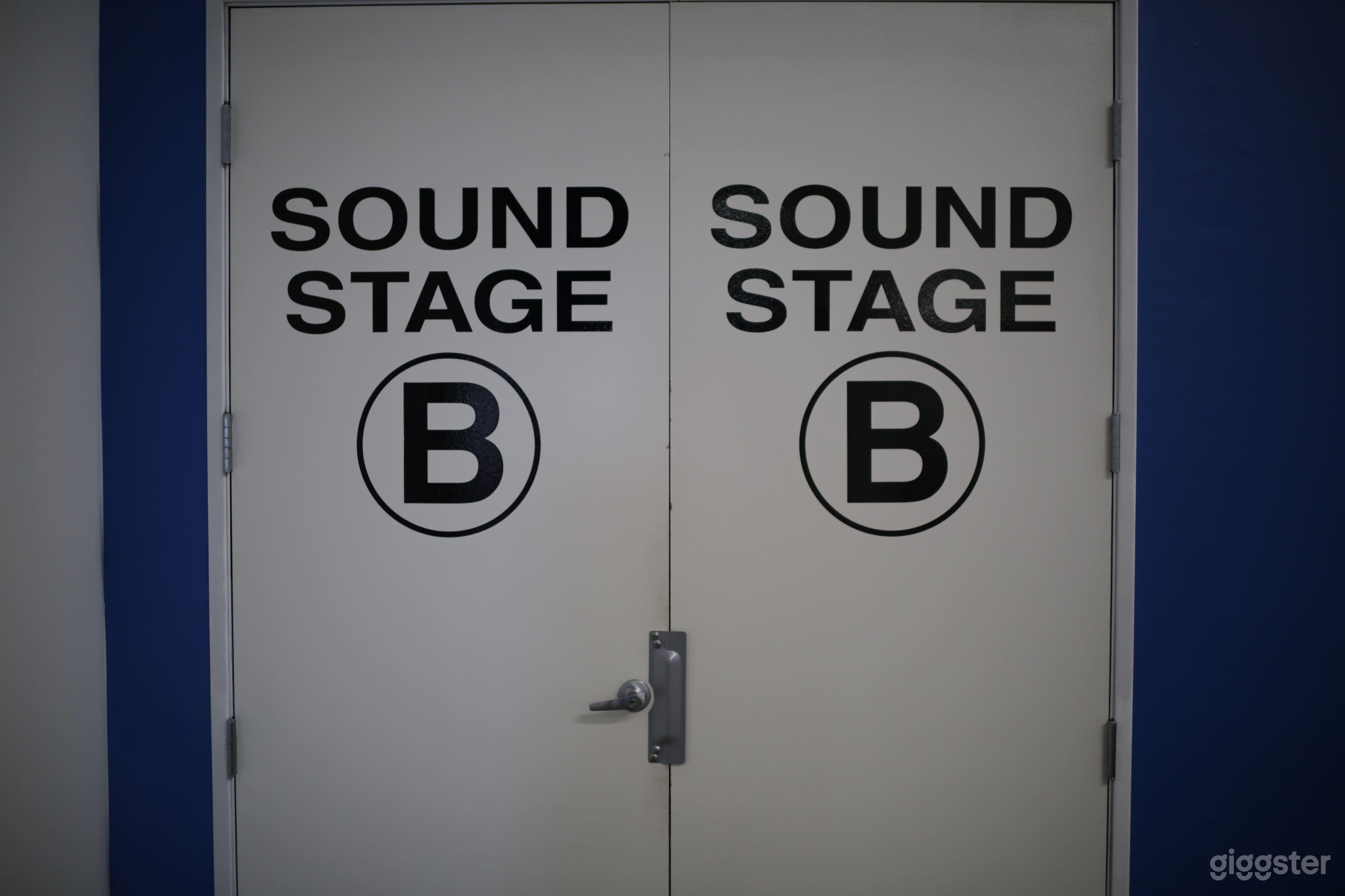 Doors to the magical kingdom