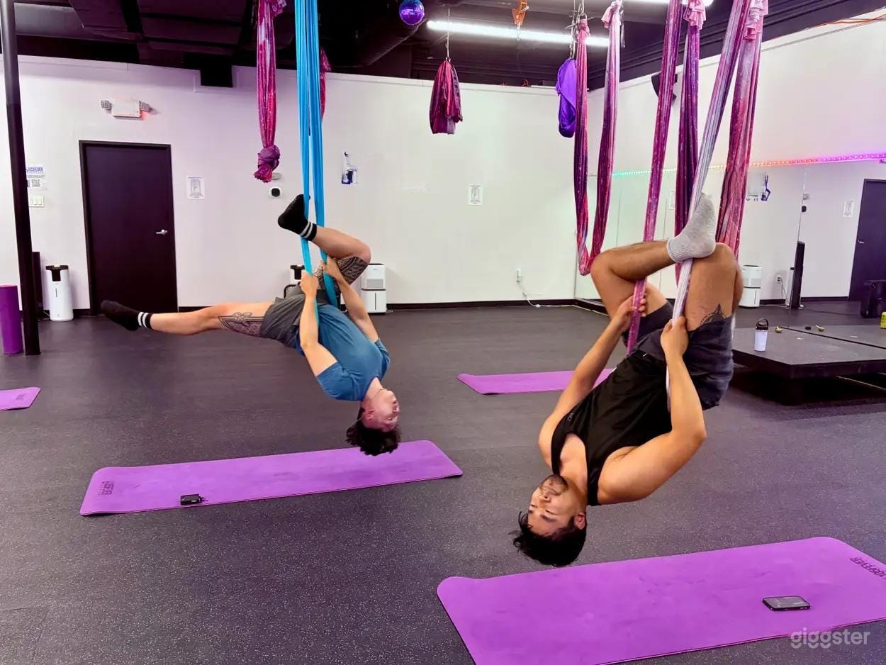 Aerial & Hot Yoga Studio in Med Center Houston w/ Parking Photo 3