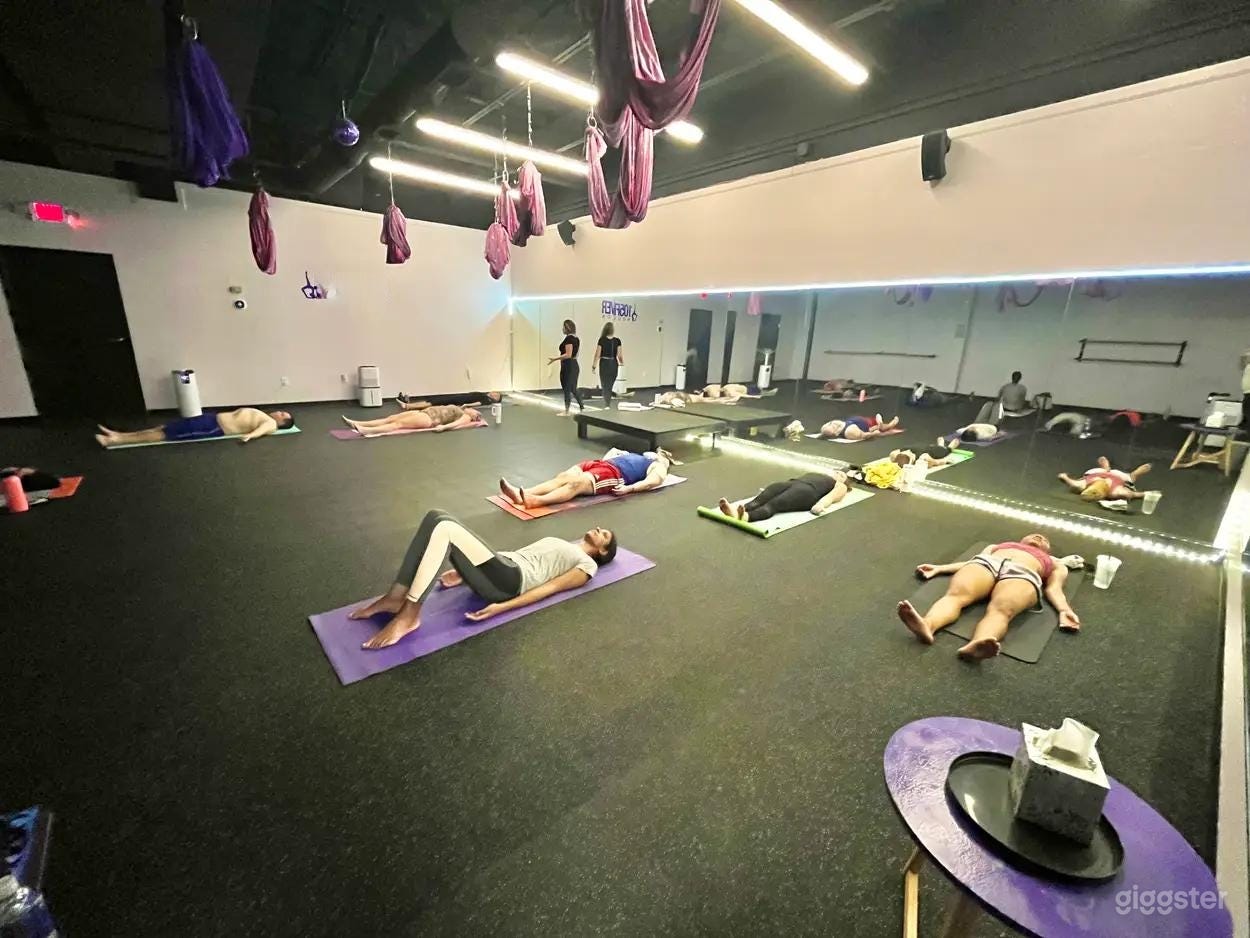 Aerial & Hot Yoga Studio in Med Center Houston w/ Parking Photo 2