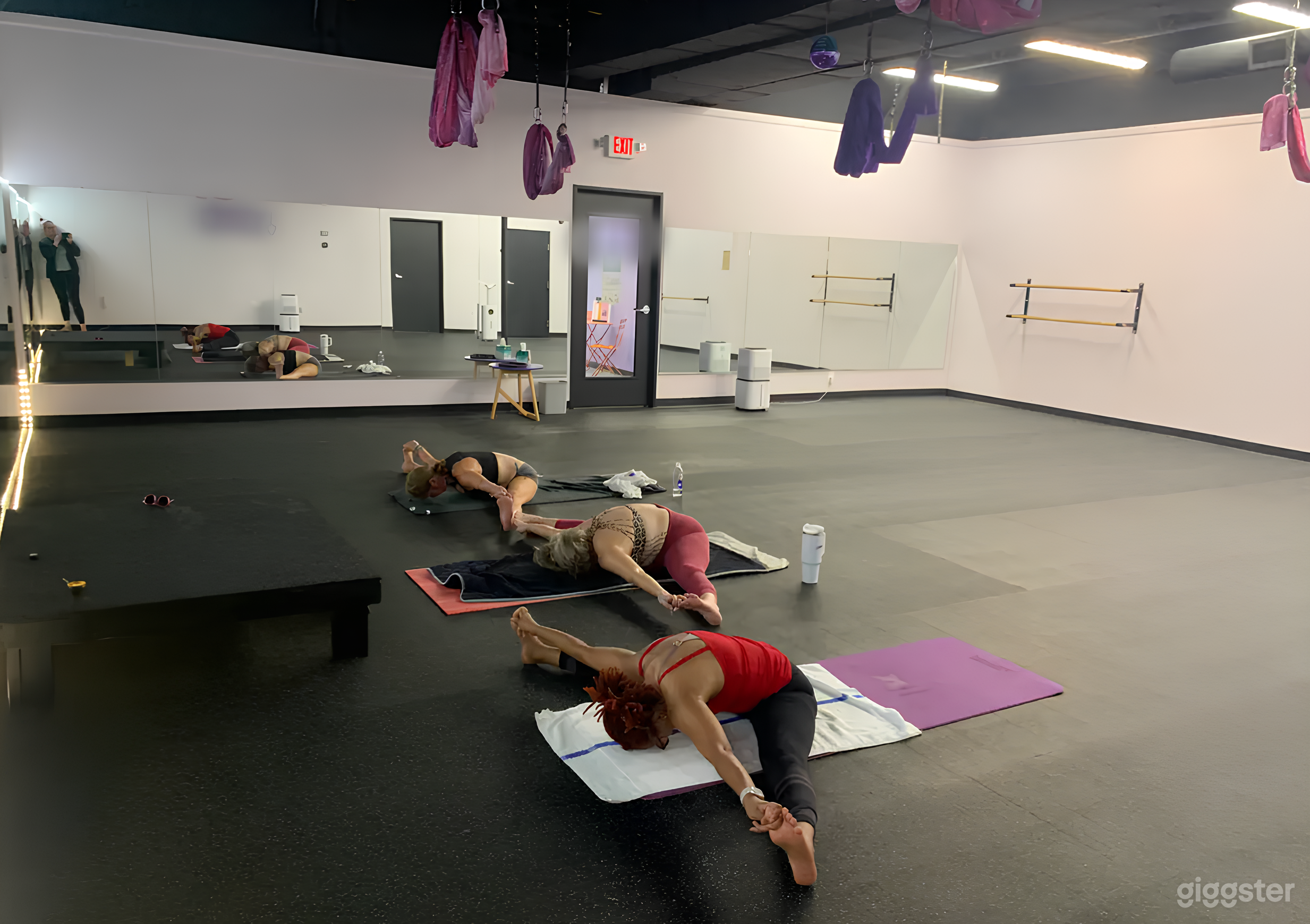 Aerial & Hot Yoga Studio in Med Center Houston w/ Parking Photo 1
